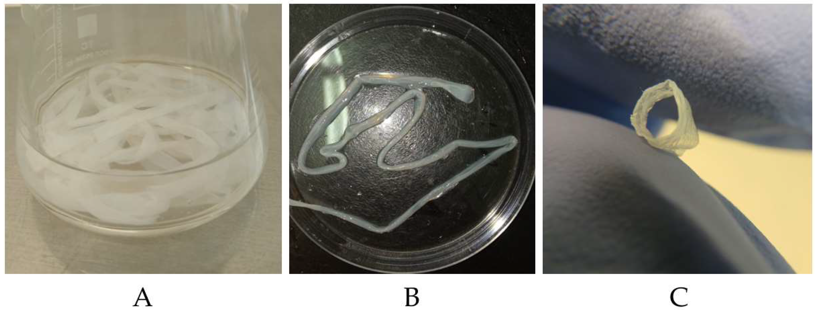 Polymers 17 00179 g008