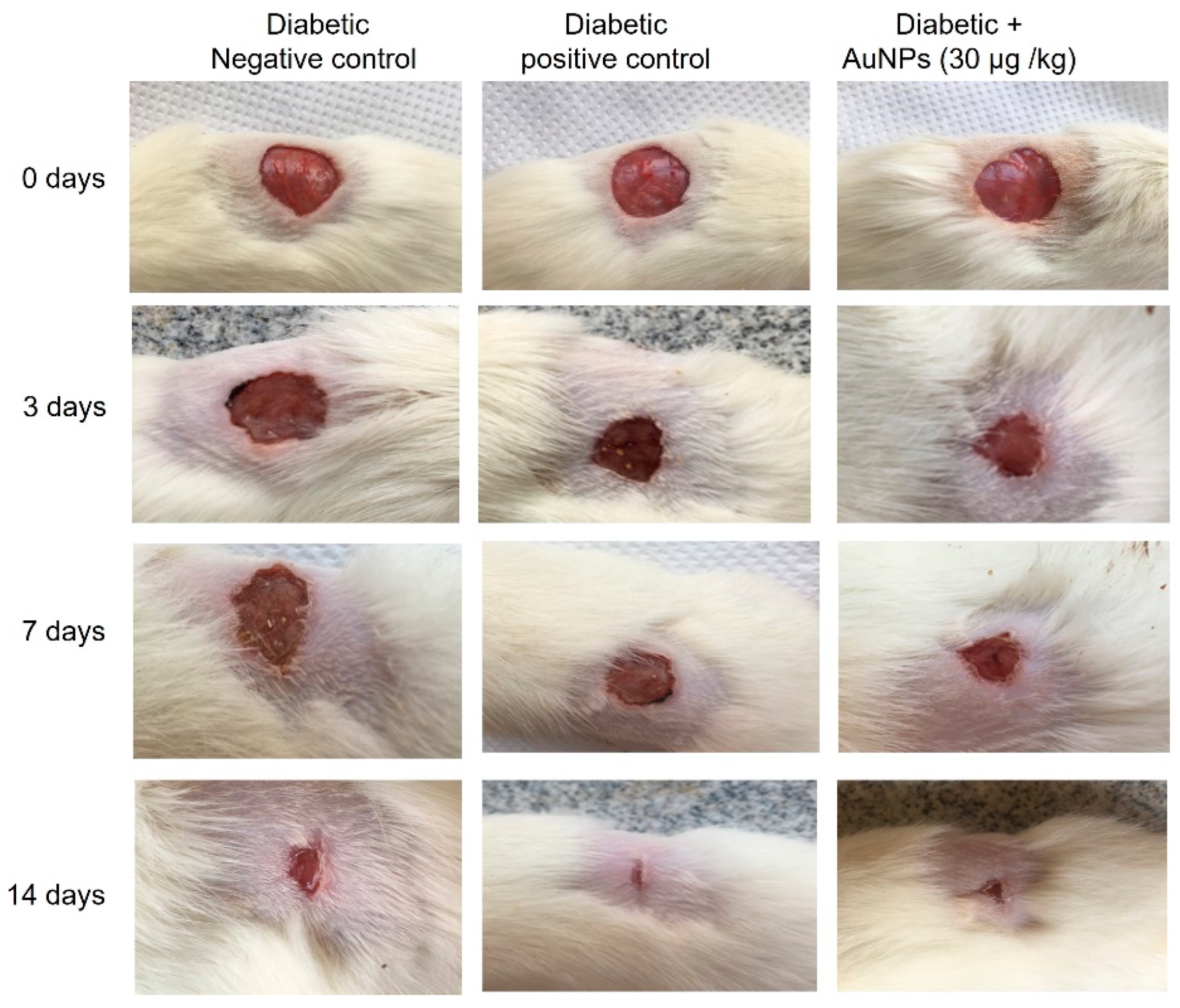 Polymers 17 00183 g007