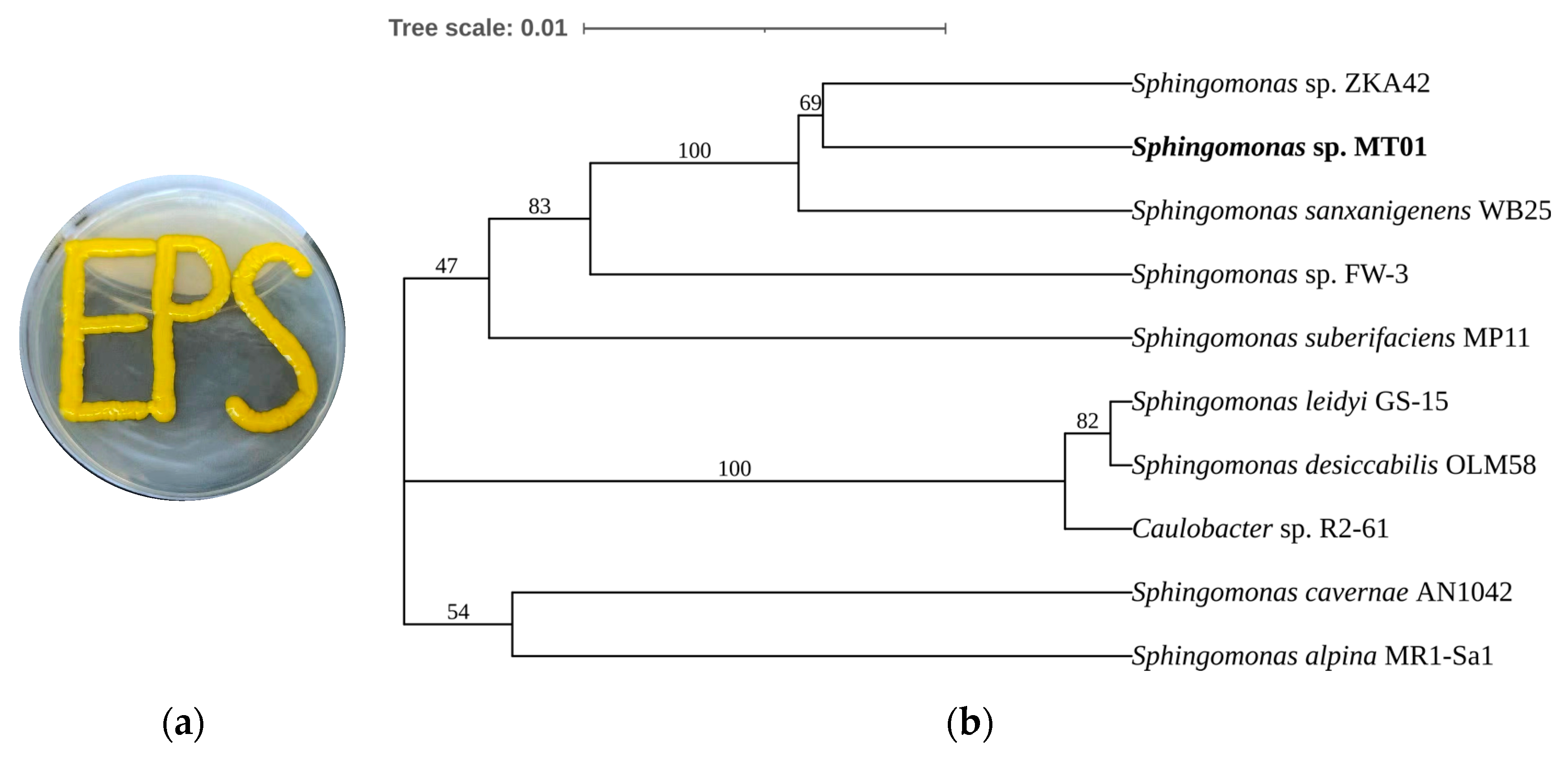 Polymers 17 00186 g001