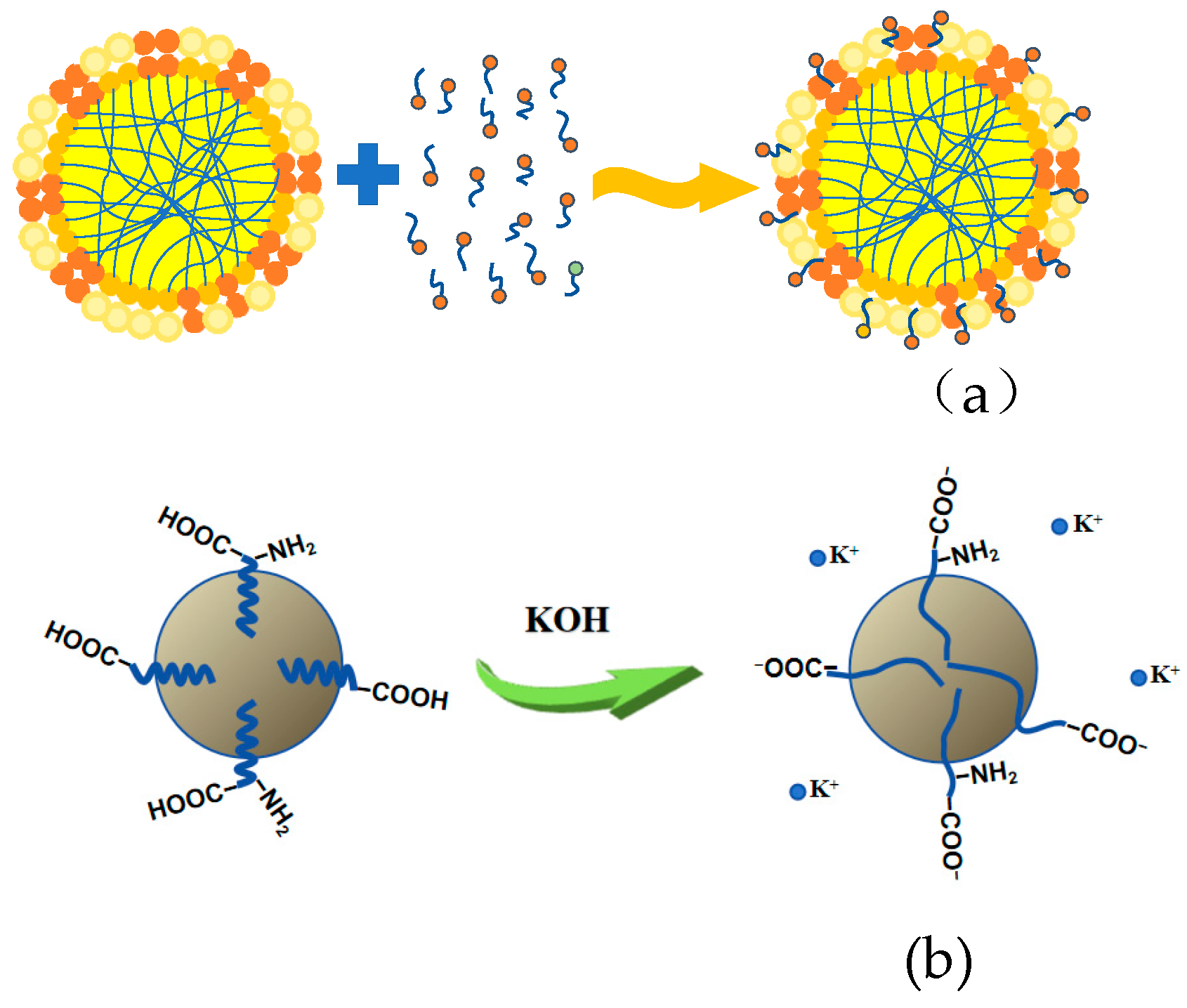 Polymers 17 00188 g008