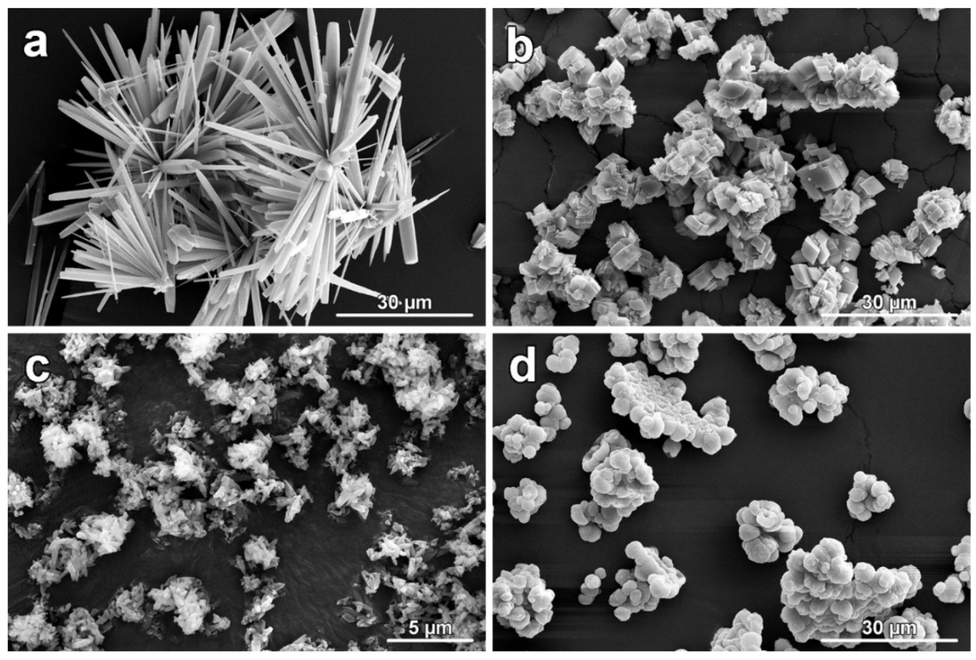 Polymers 17 00191 g005