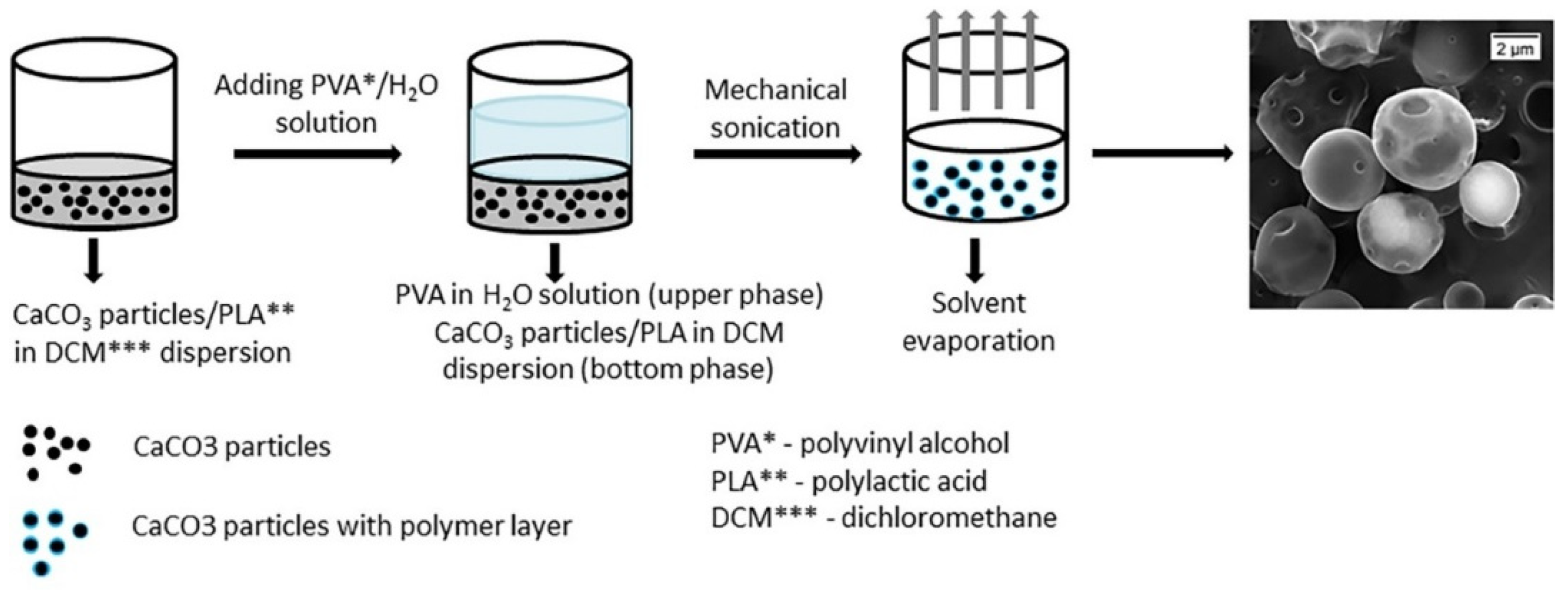Polymers 17 00191 g006