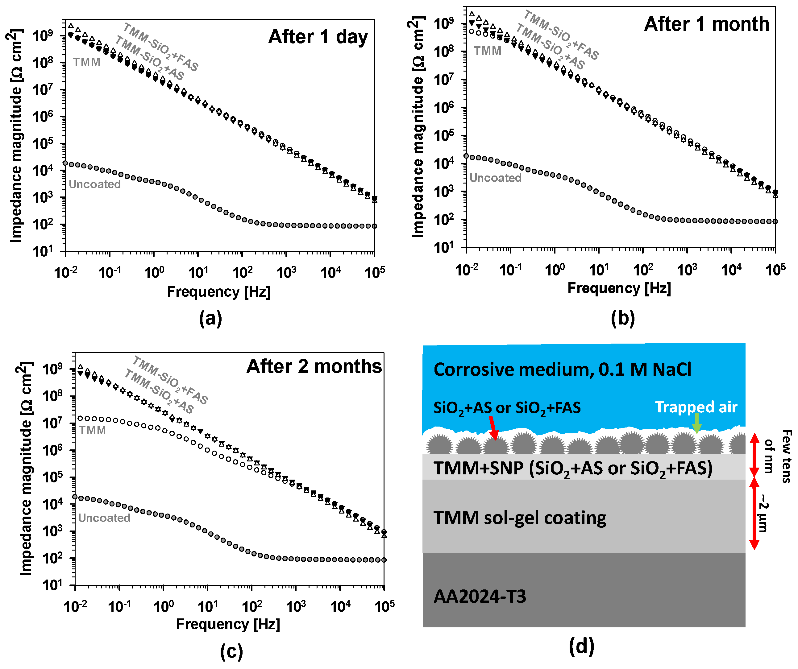 Polymers 17 00195 g012