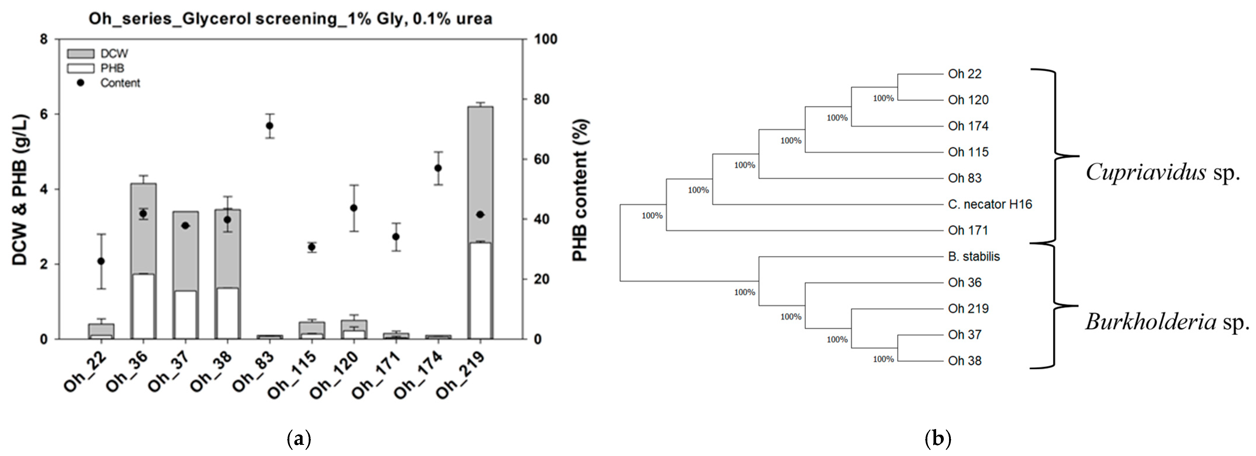 Polymers 17 00197 g001