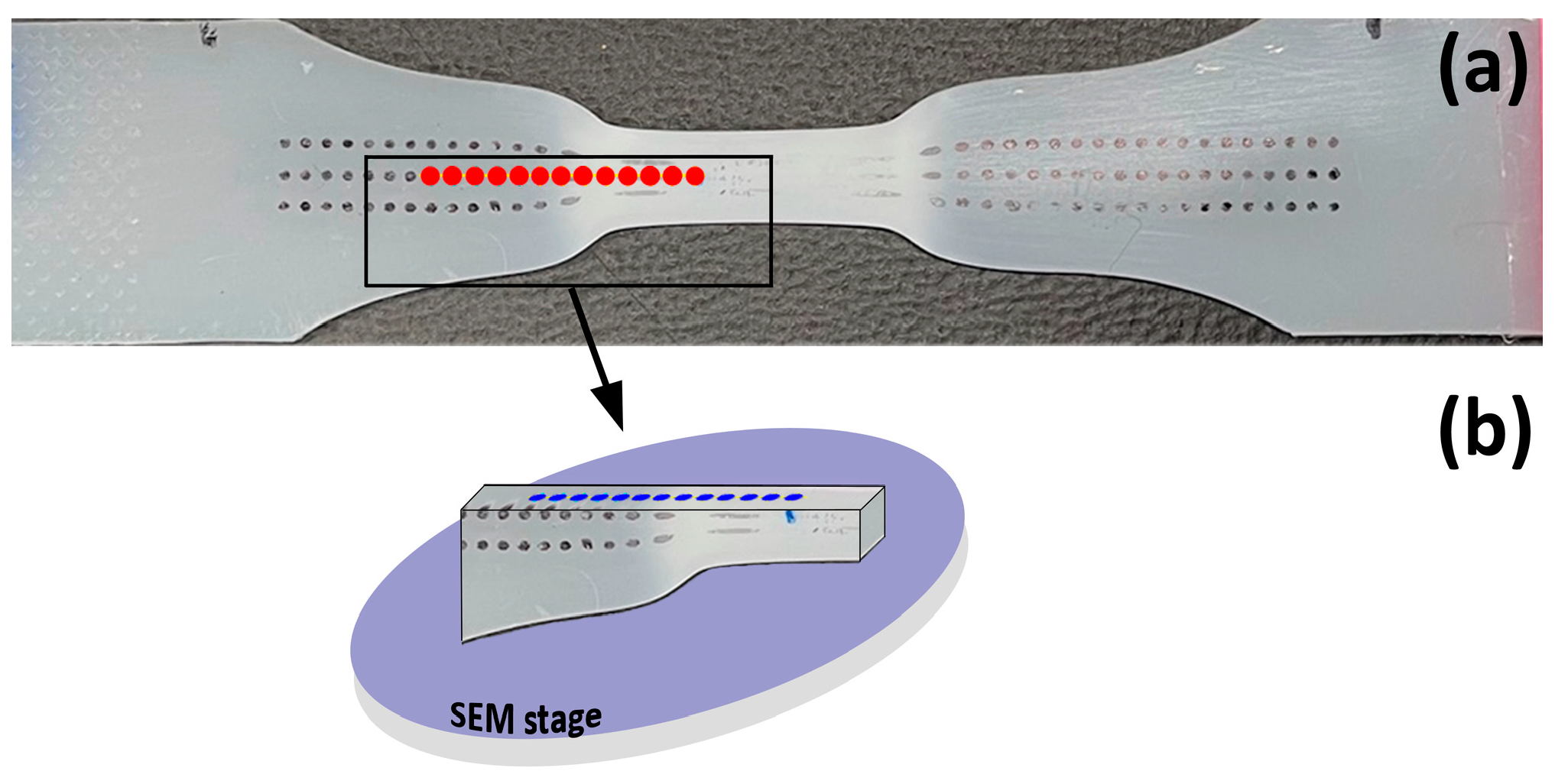 Polymers 17 00202 g001