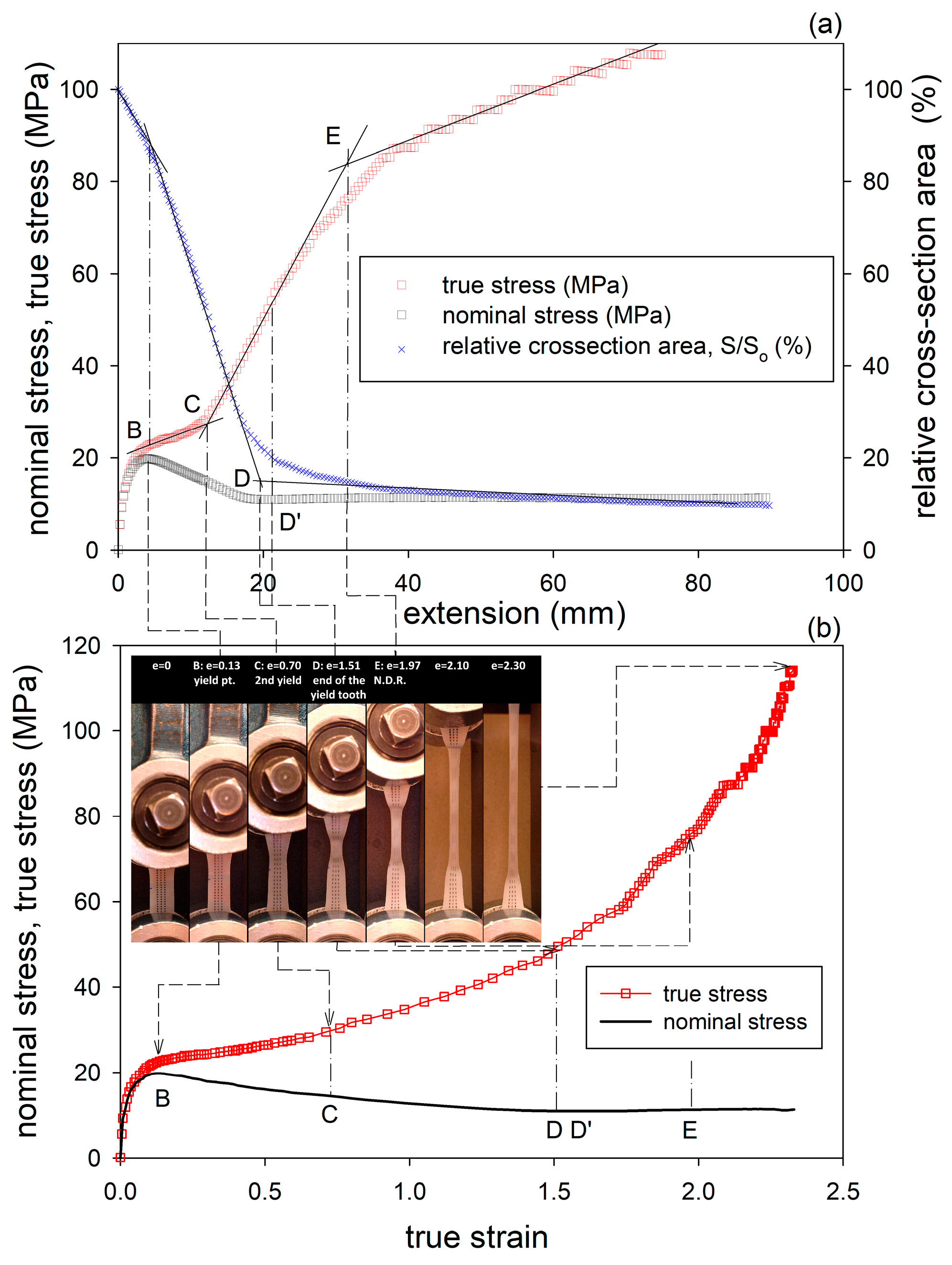 Polymers 17 00202 g005