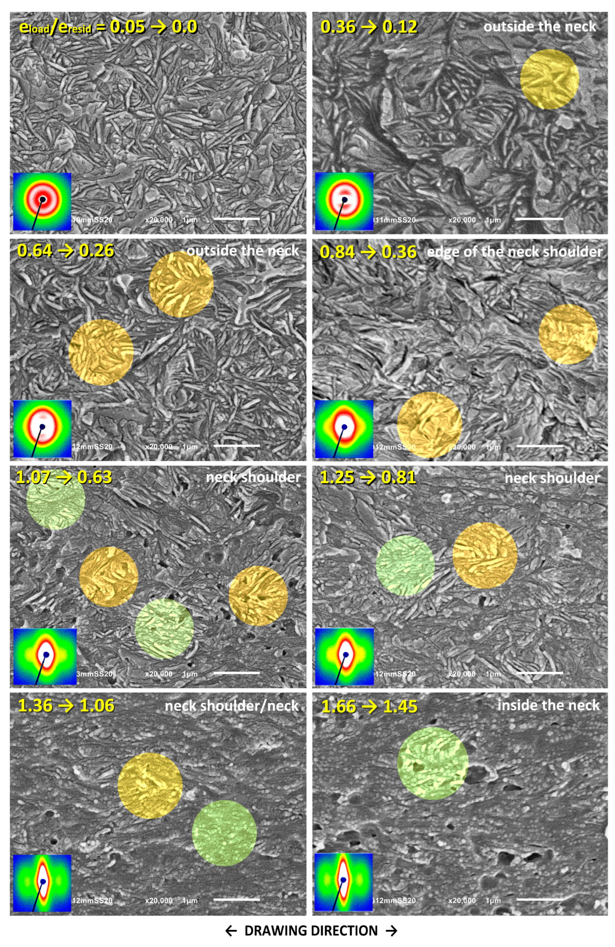 Polymers 17 00202 g010