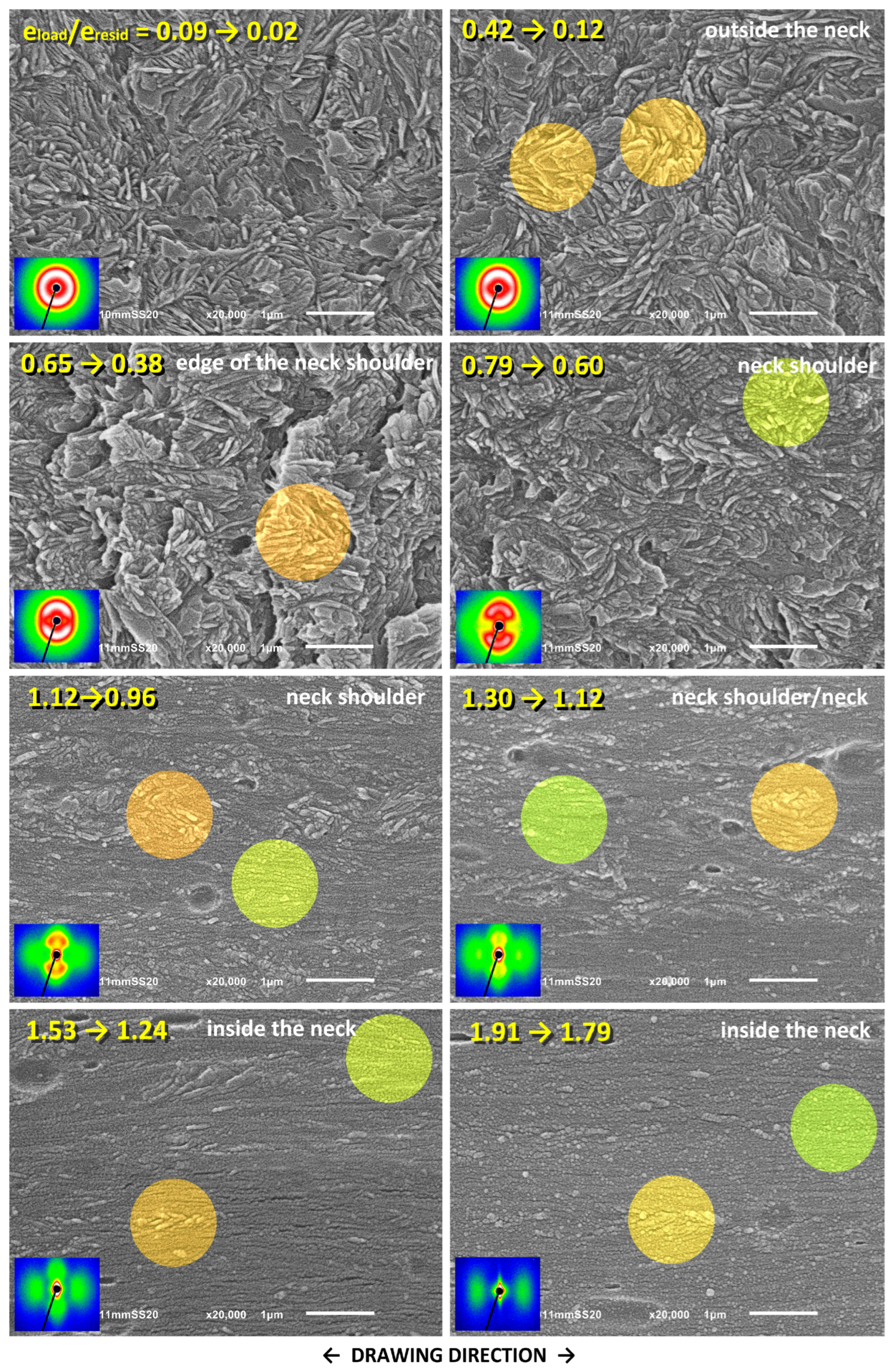 Polymers 17 00202 g011