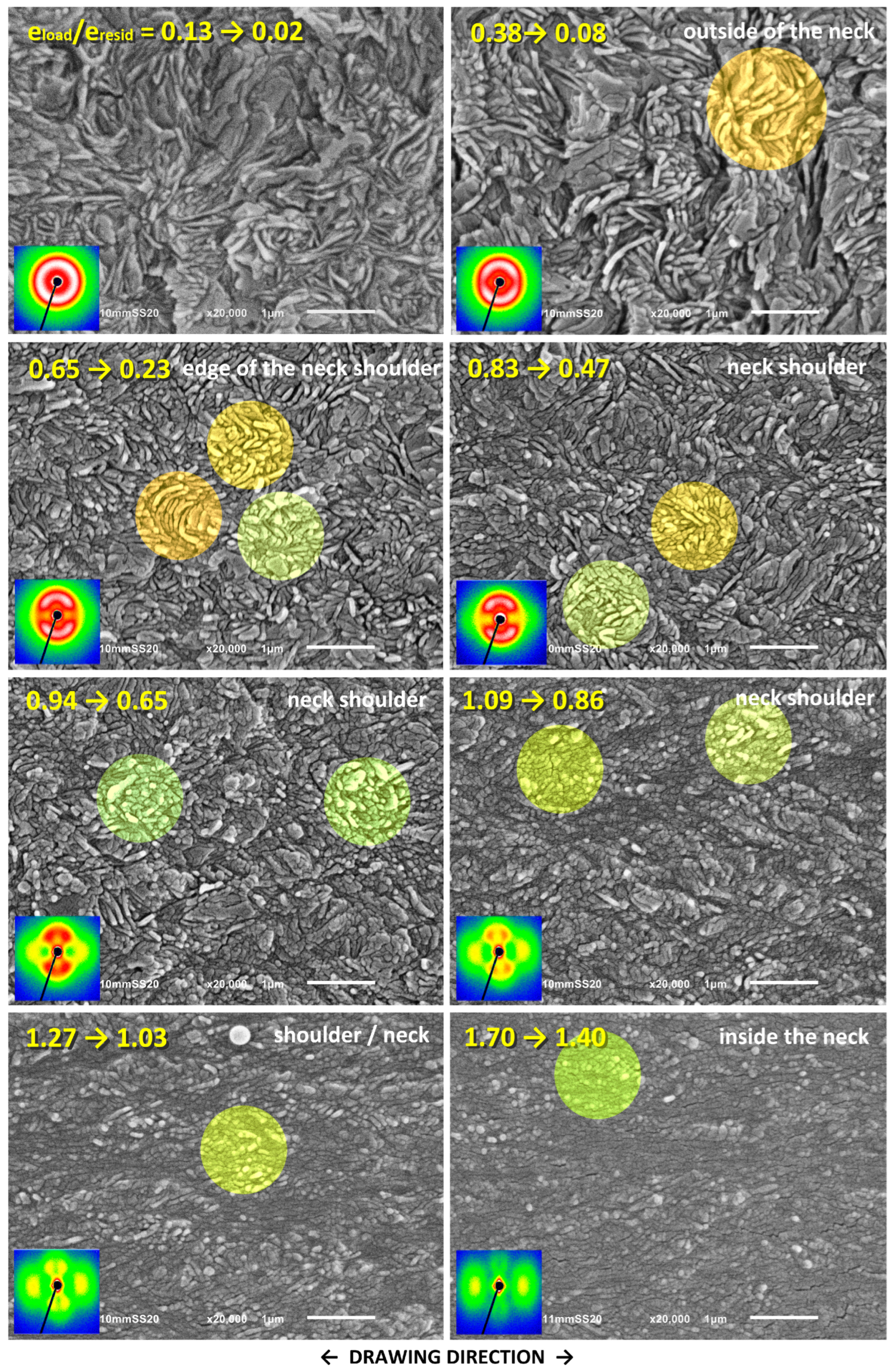 Polymers 17 00202 g012