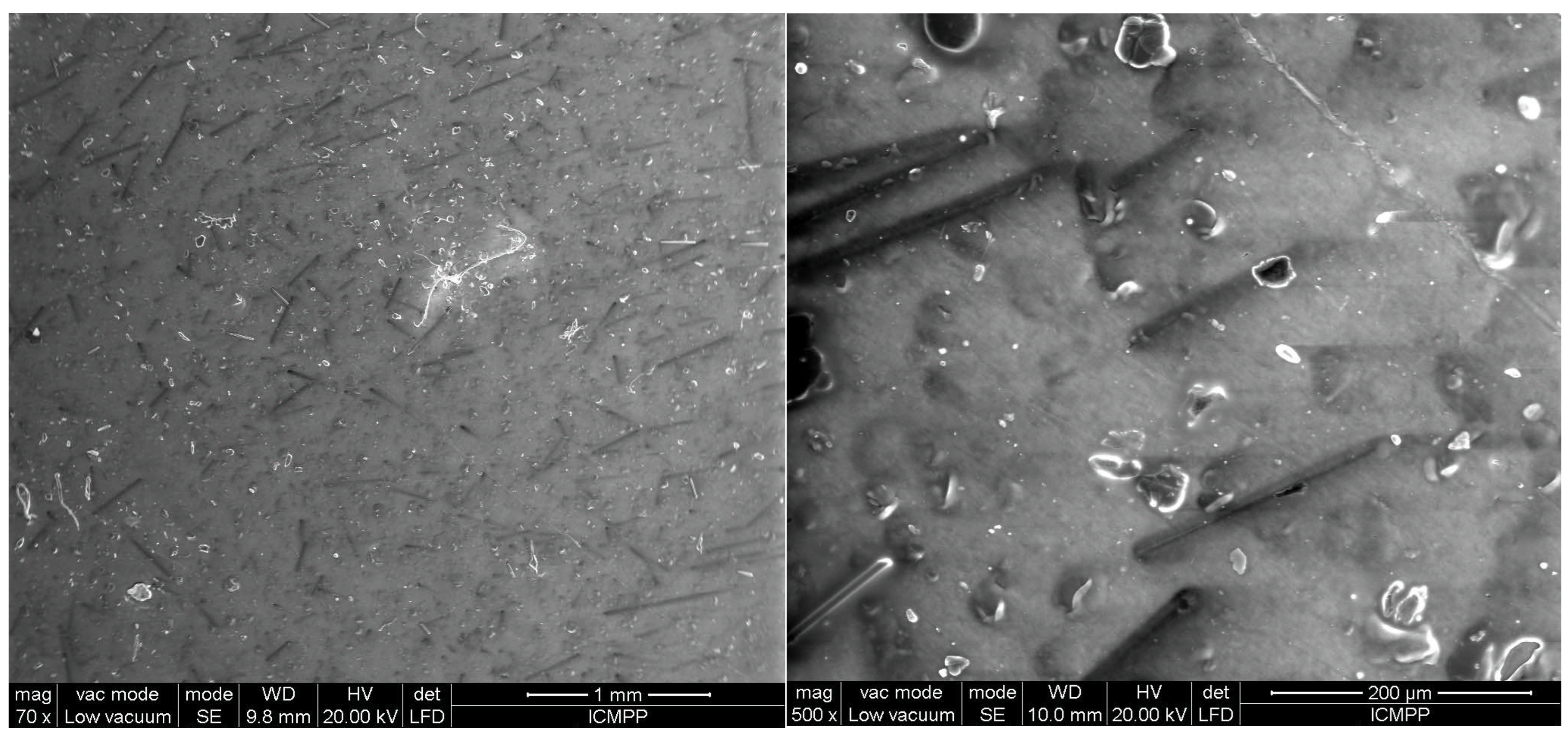 Polymers 17 00204 g006