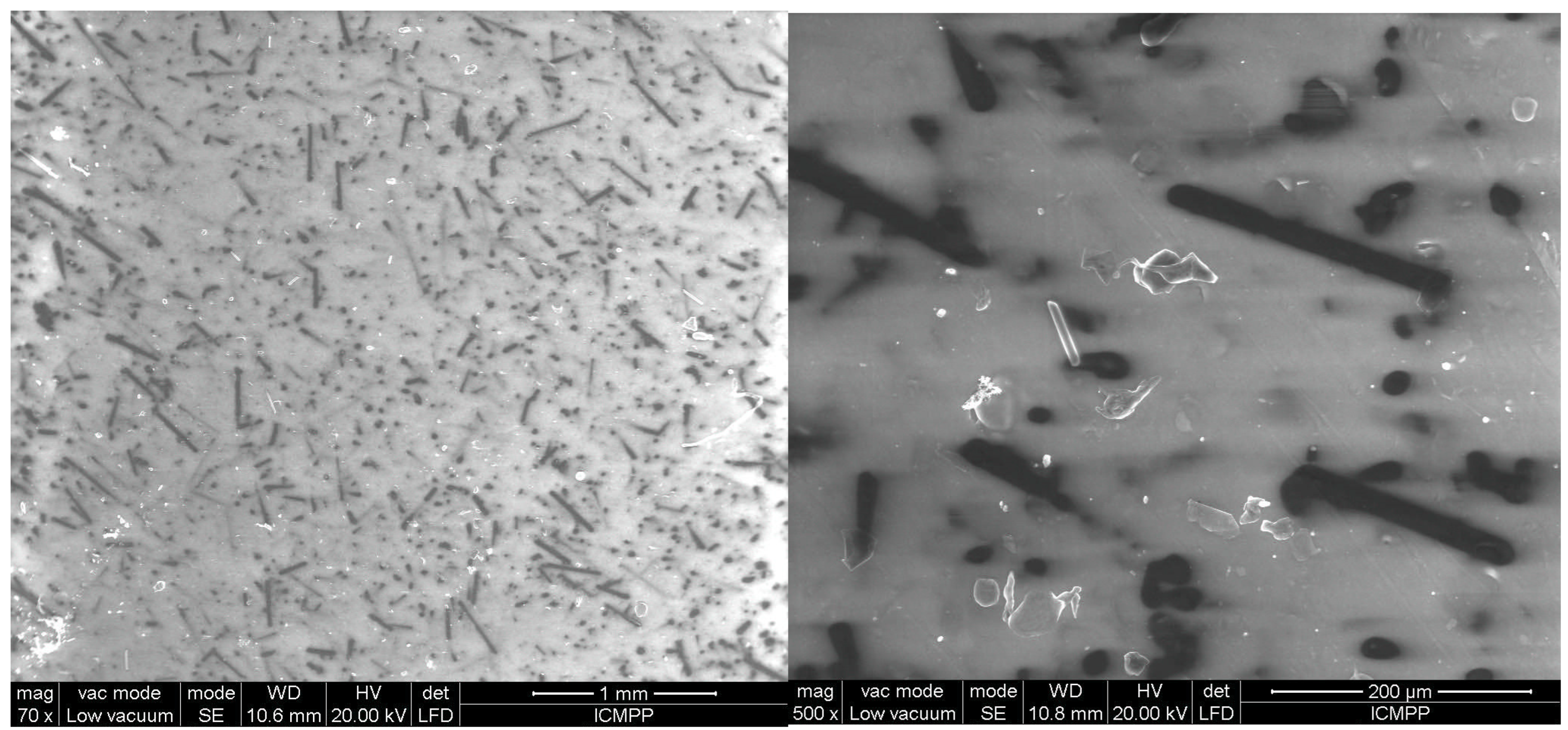 Polymers 17 00204 g007