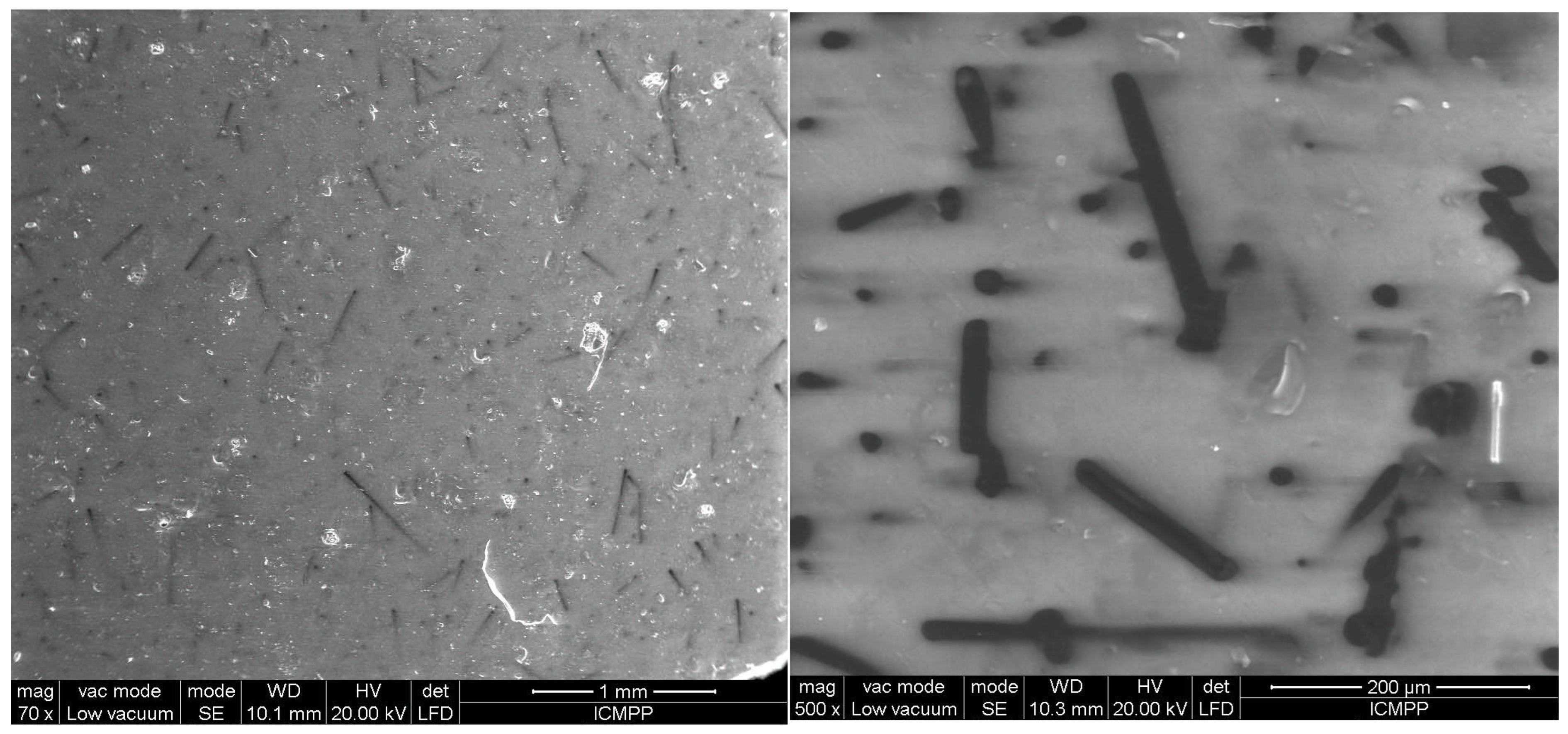 Polymers 17 00204 g010