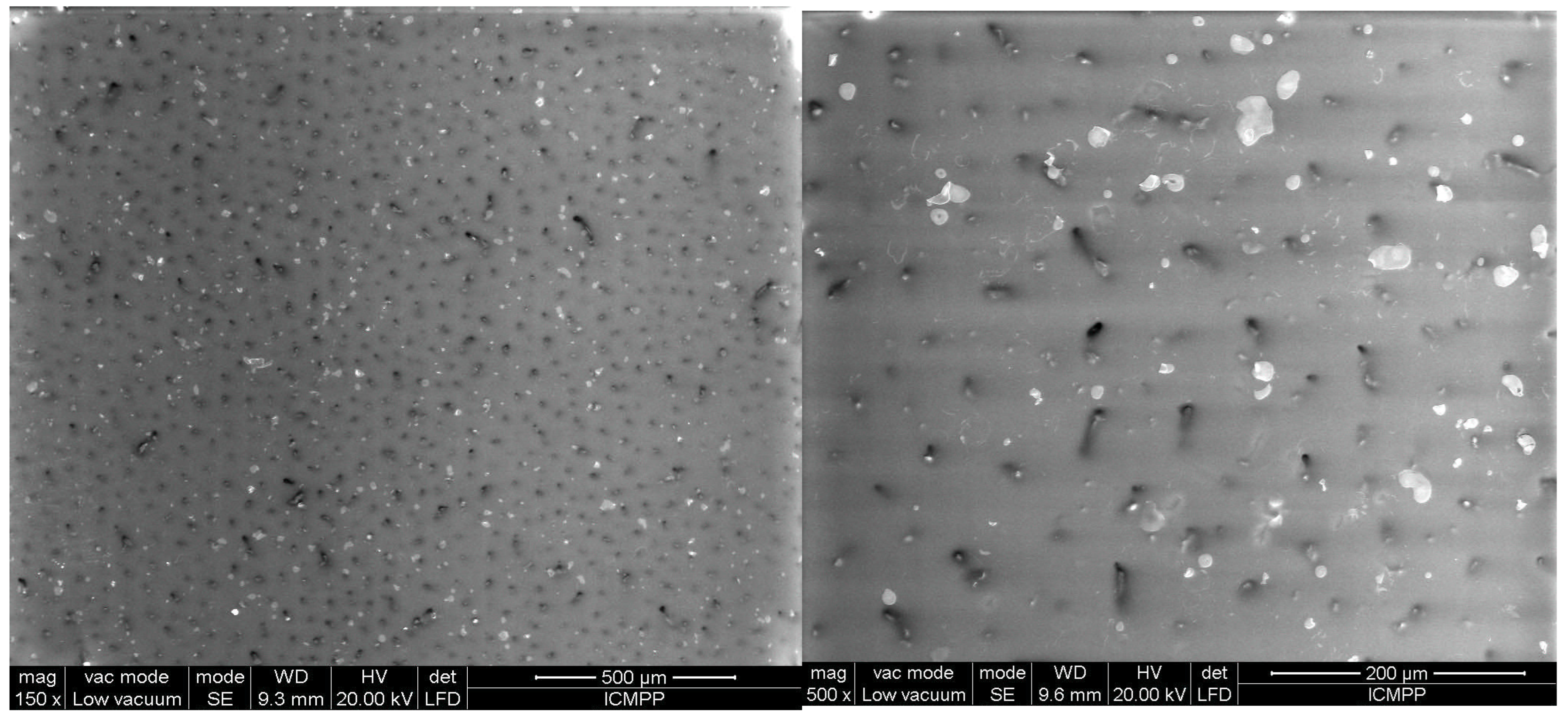 Polymers 17 00204 g011