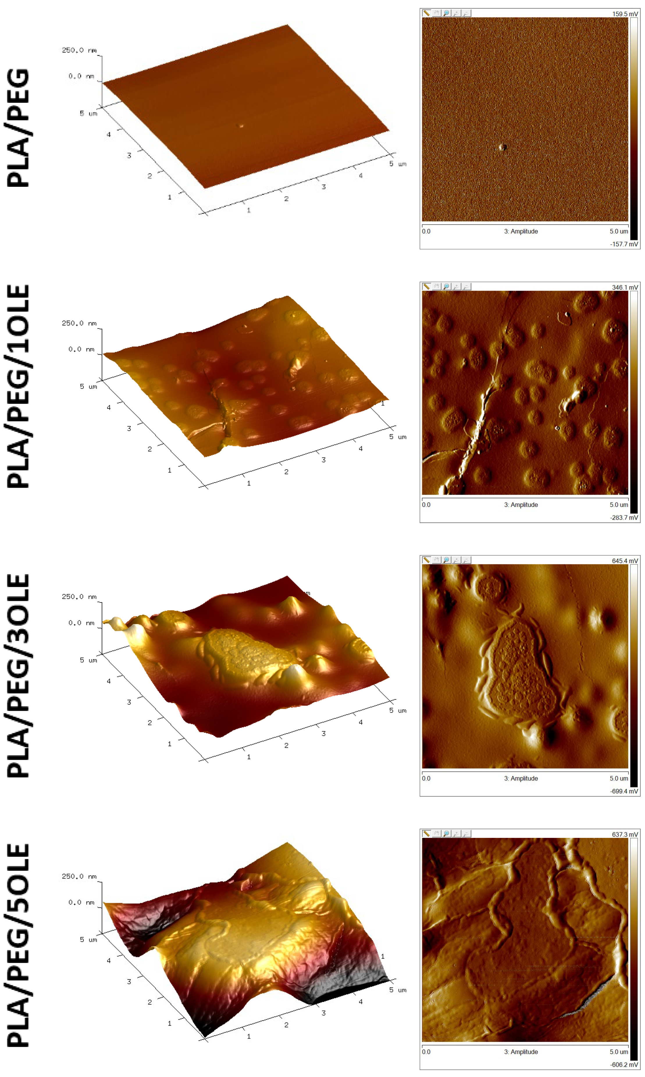 Polymers 17 00205 g001