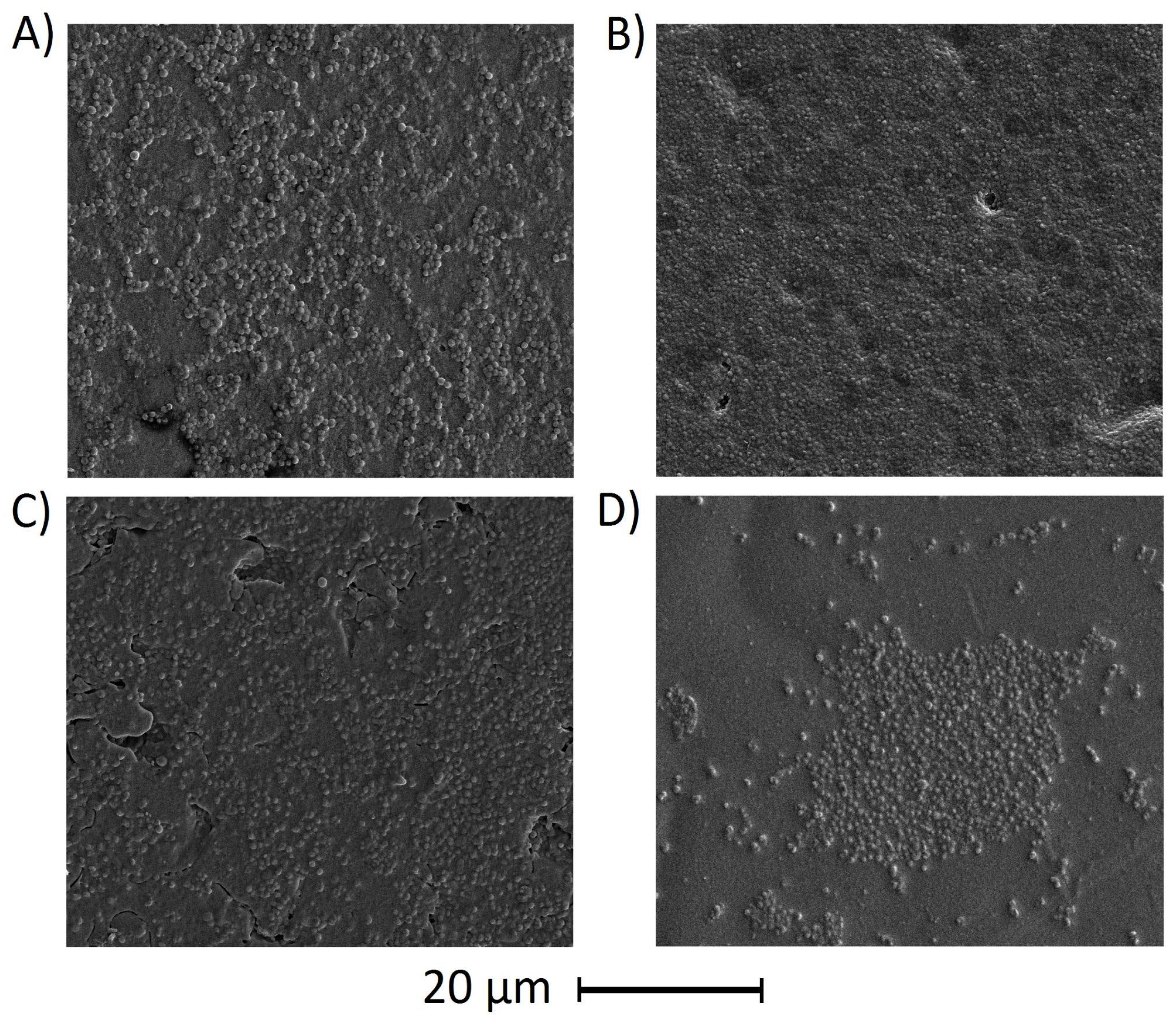 Polymers 17 00205 g004