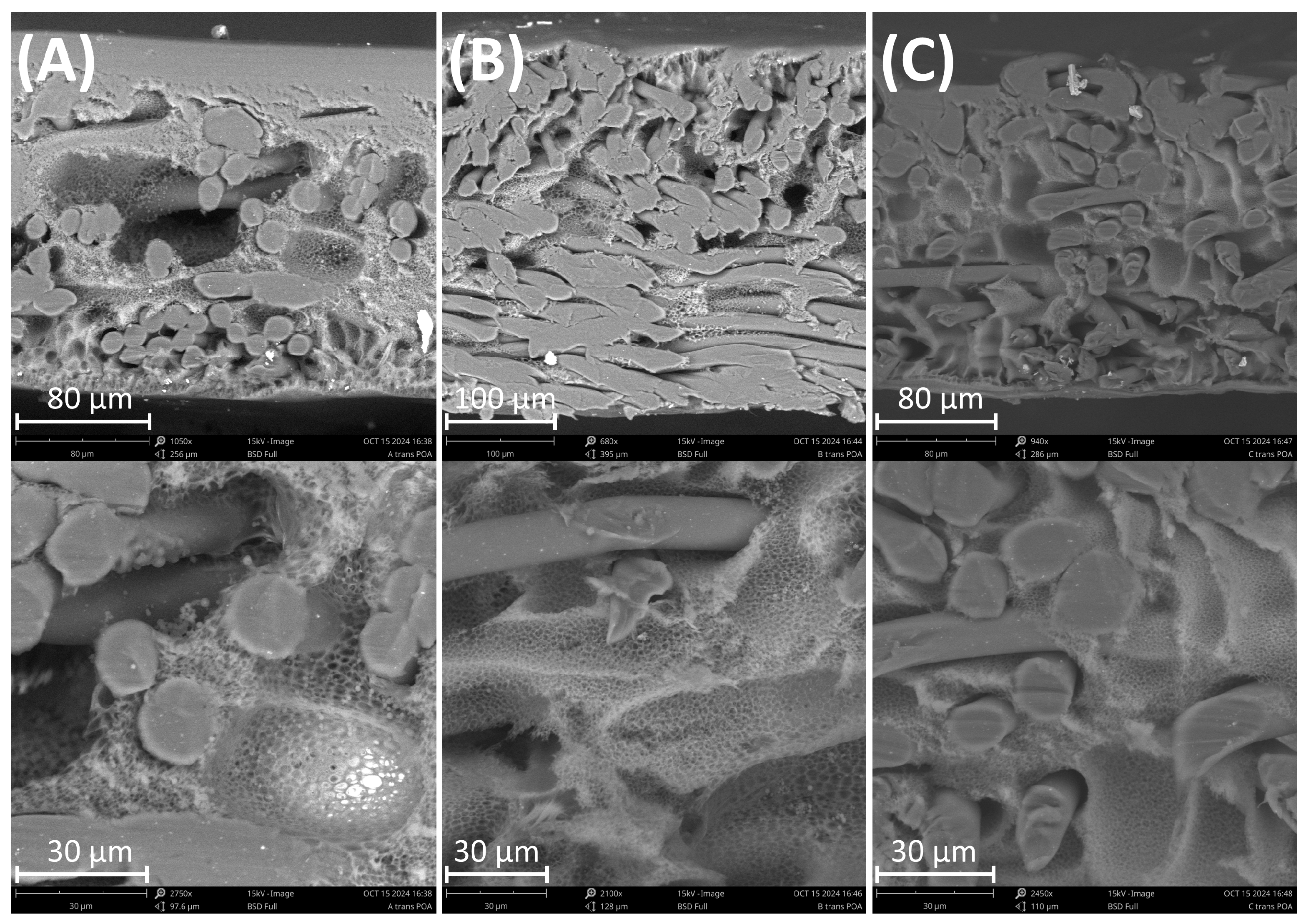 Polymers 17 00208 g011
