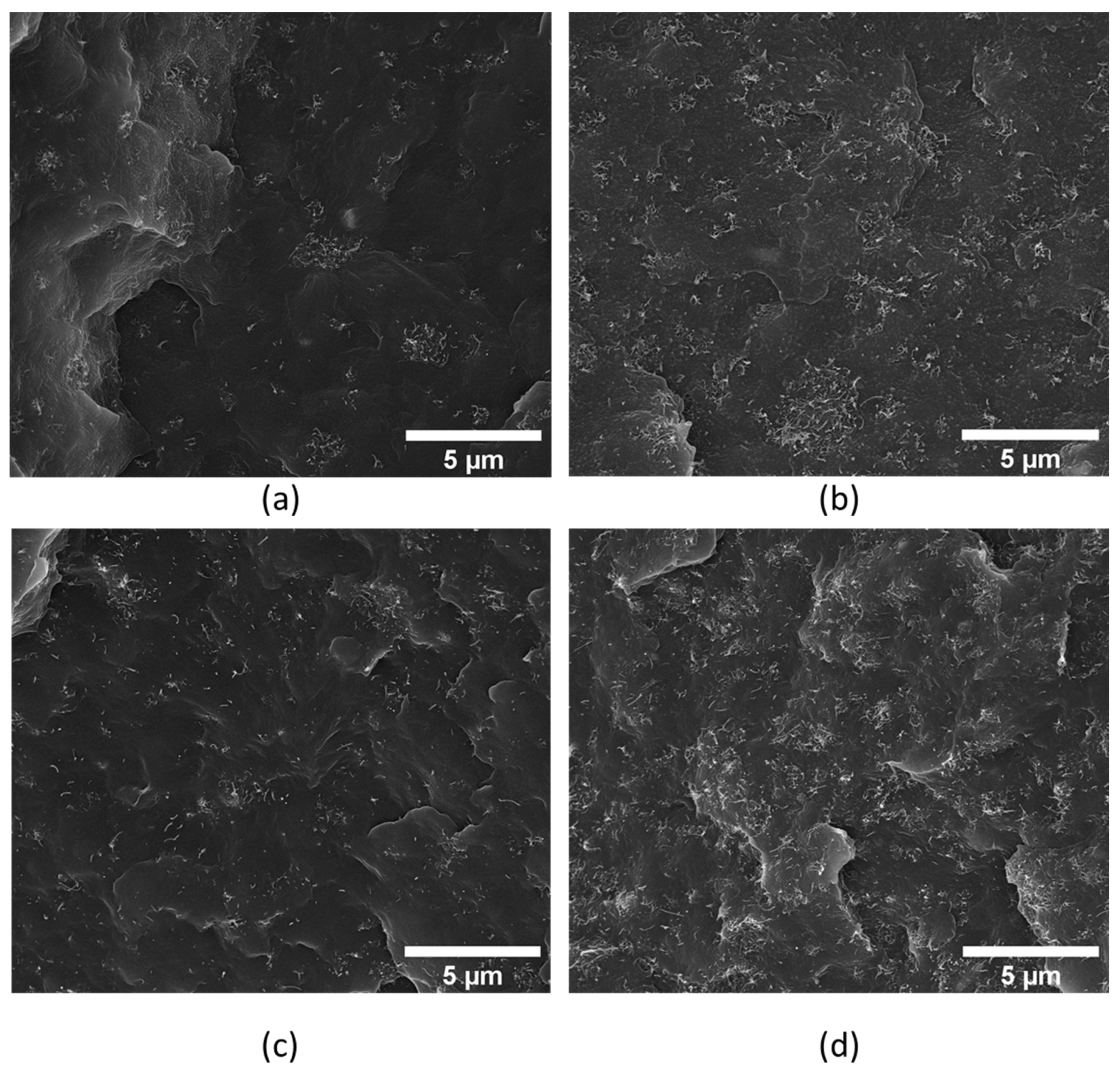 Polymers 17 00210 g001