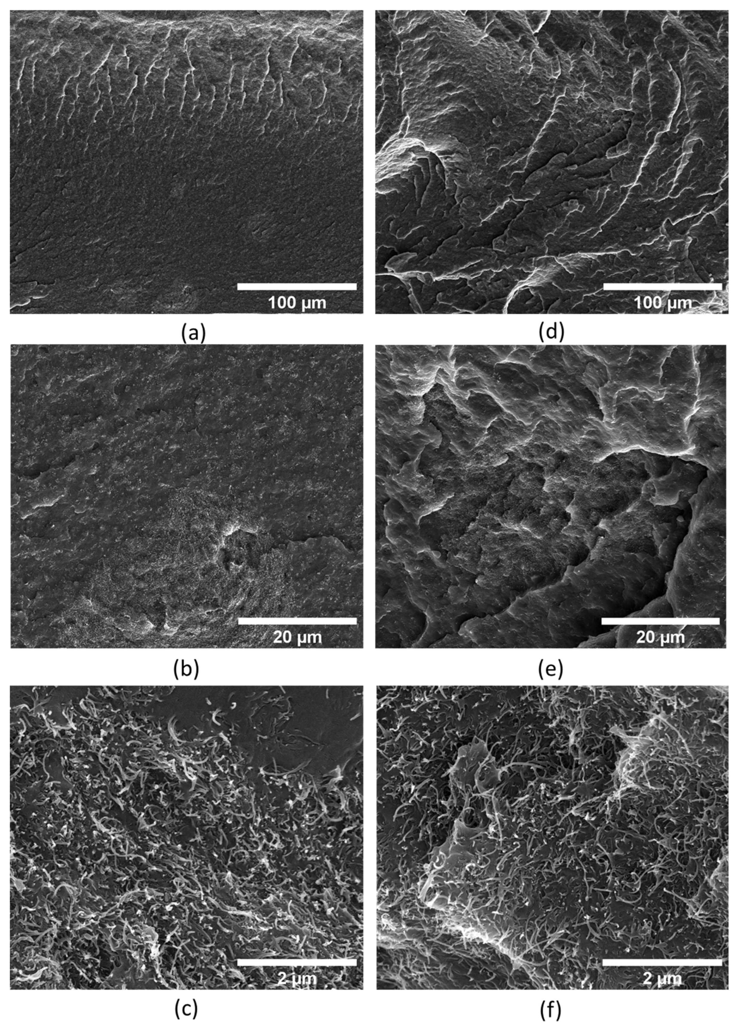 Polymers 17 00210 g002