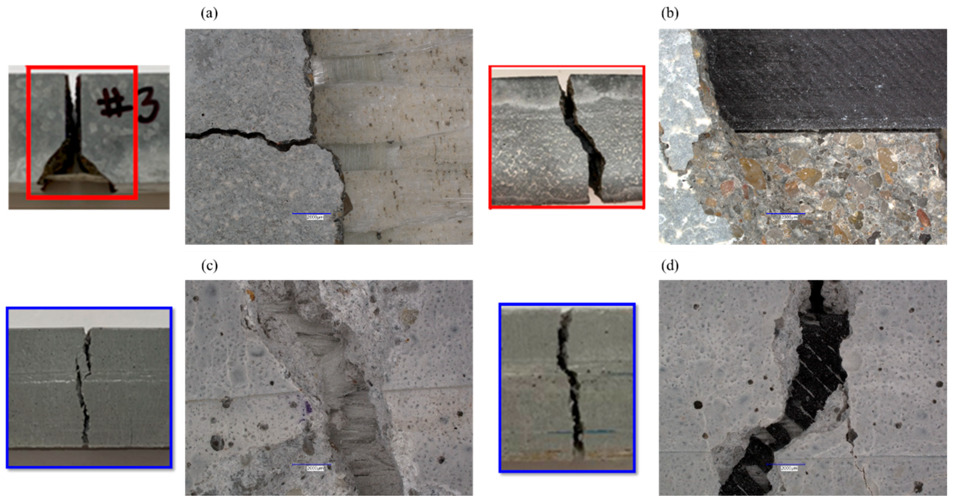 Polymers 17 00218 g010