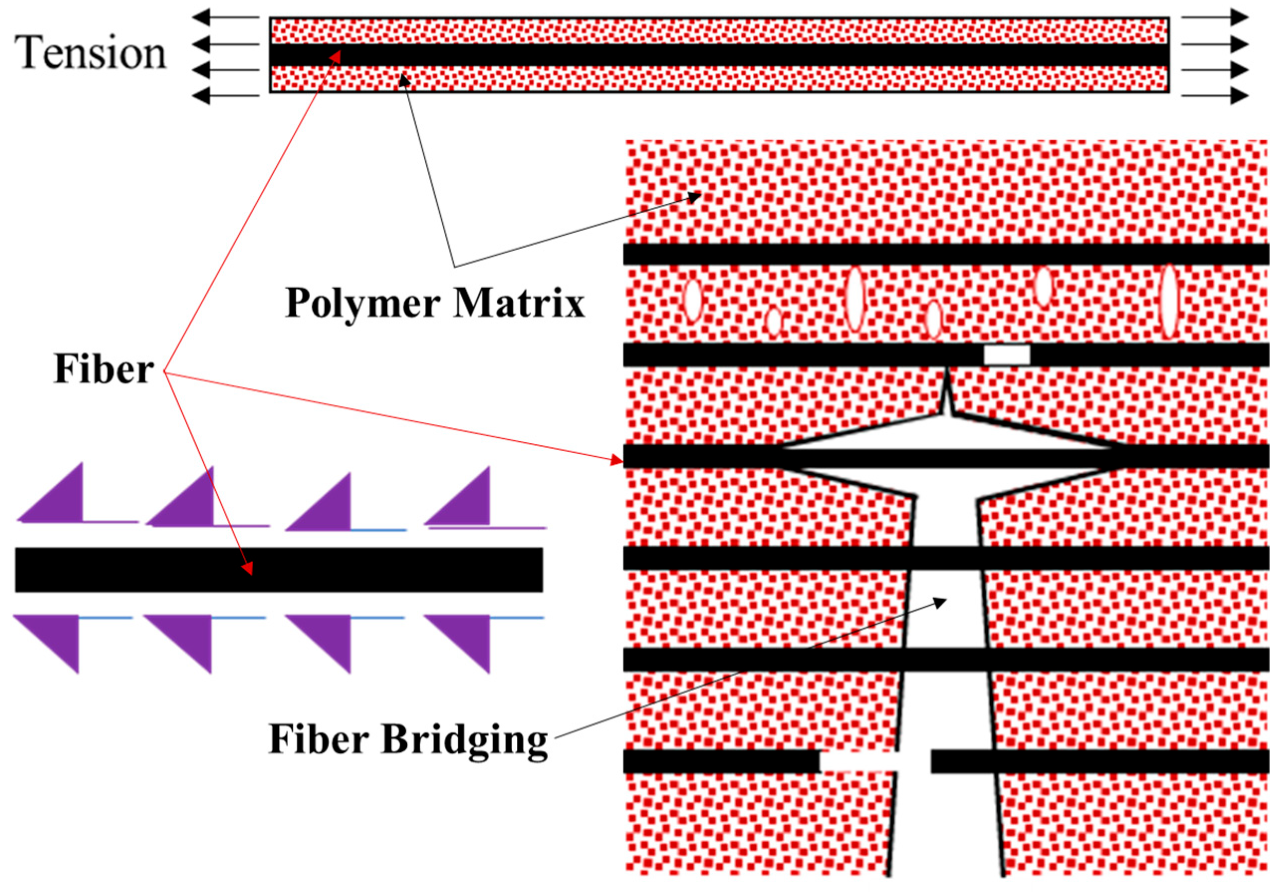 Polymers 17 00218 g012