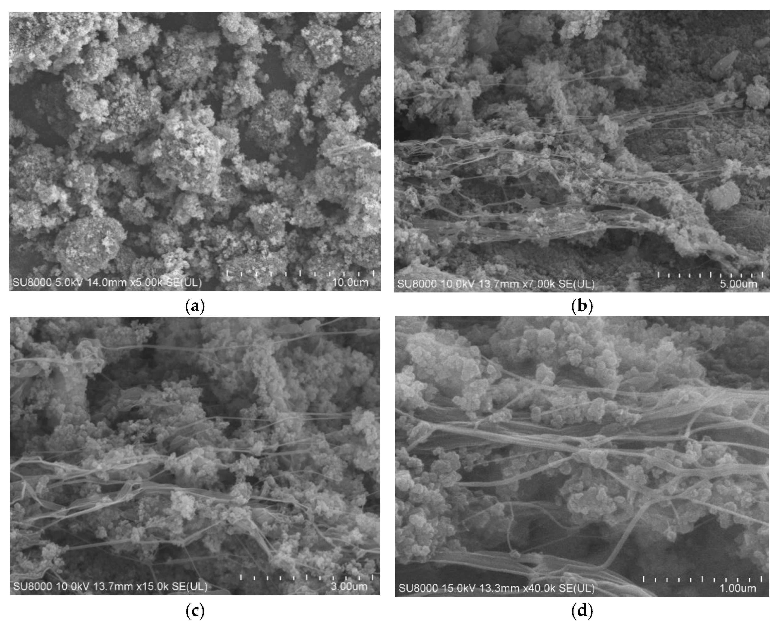 Polymers 17 00222 g002