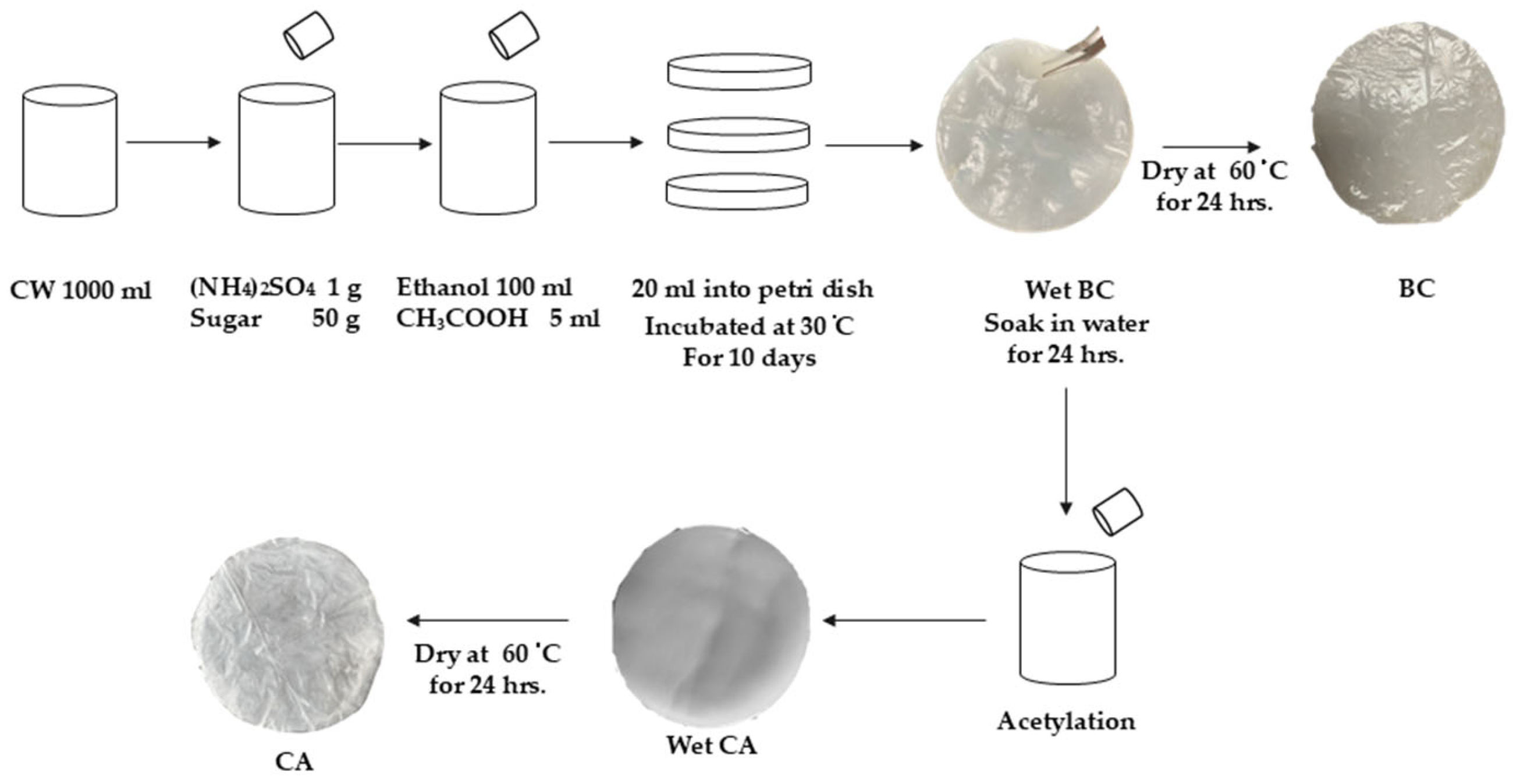 Polymers 17 00224 g001