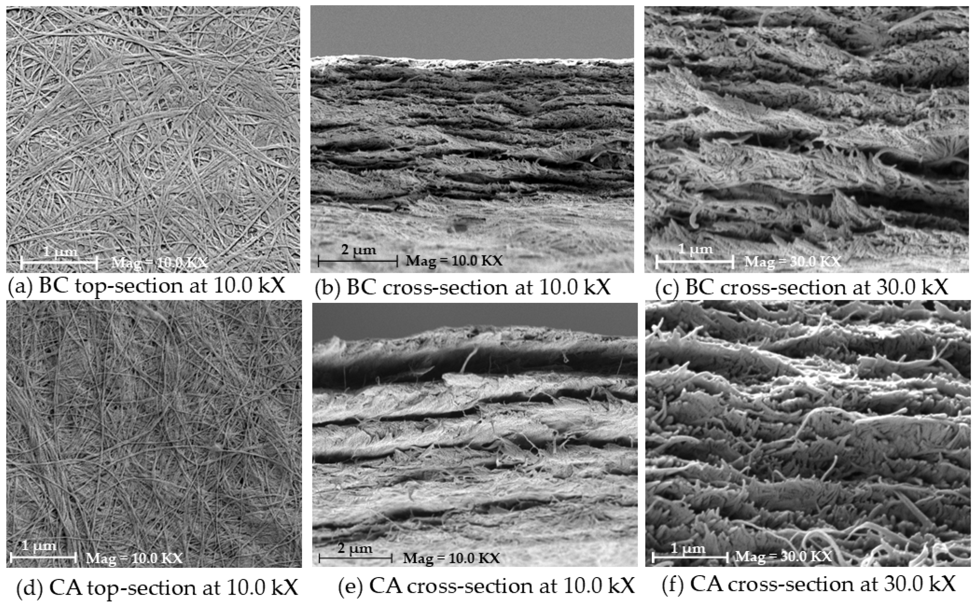 Polymers 17 00224 g003