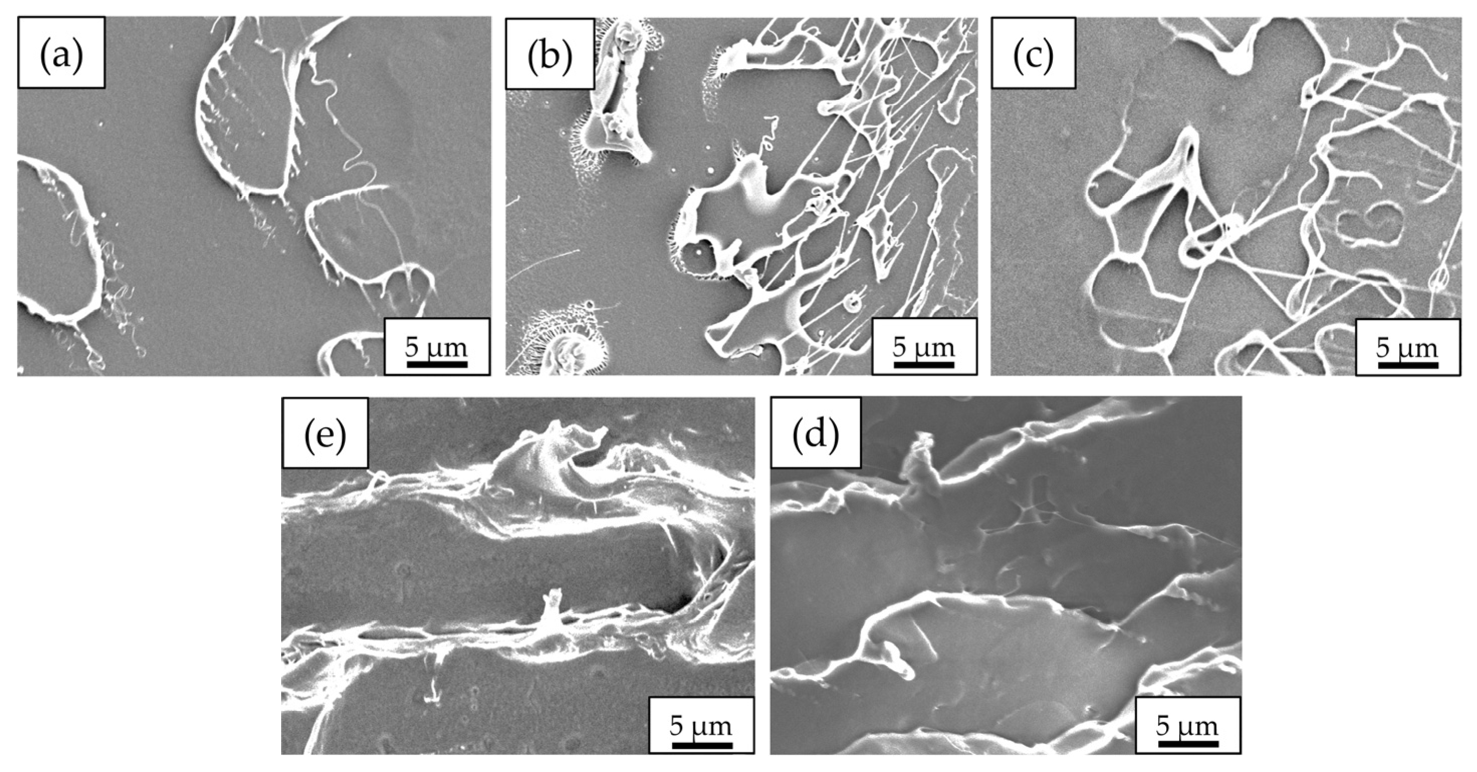 Polymers 17 00225 g012