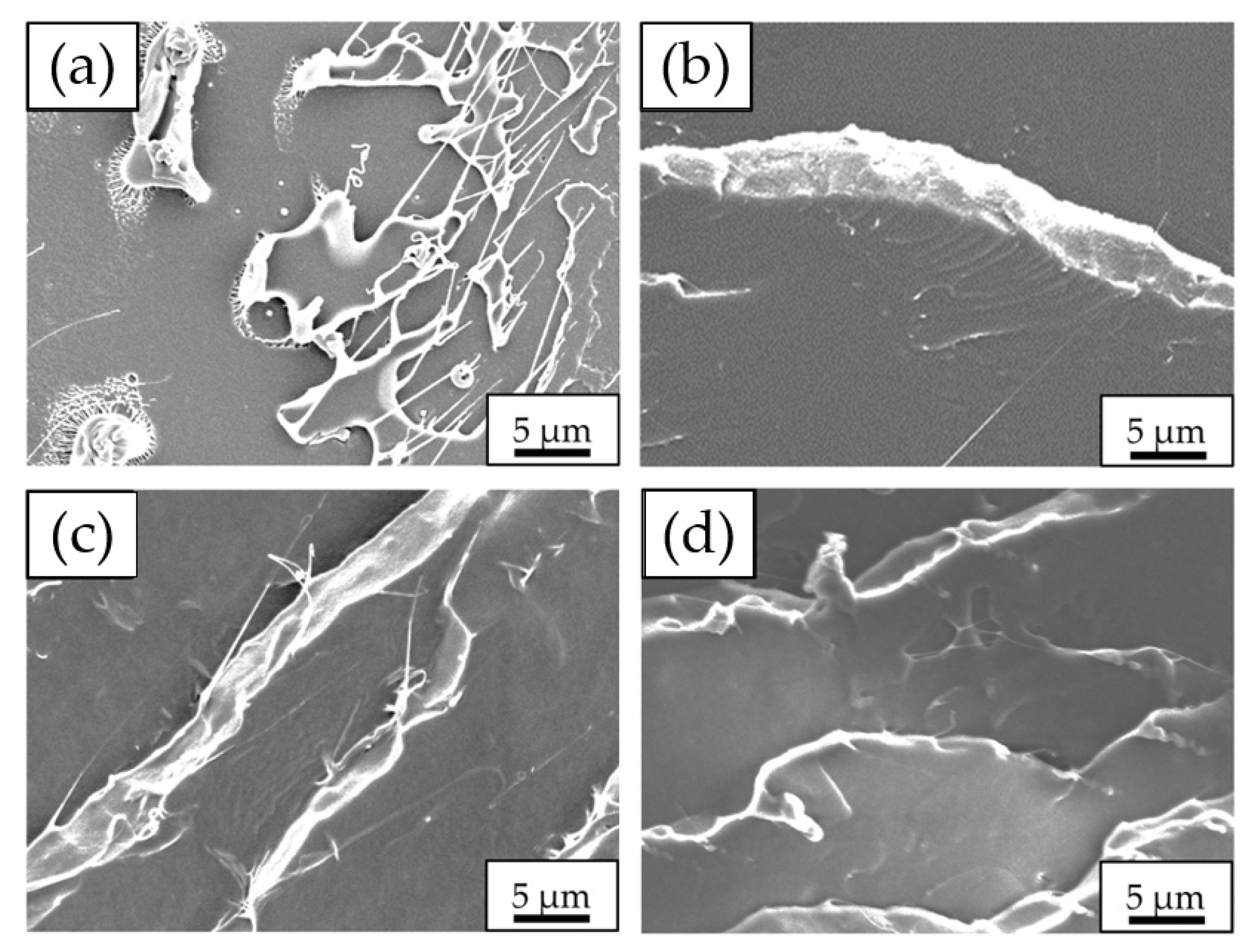 Polymers 17 00225 g013