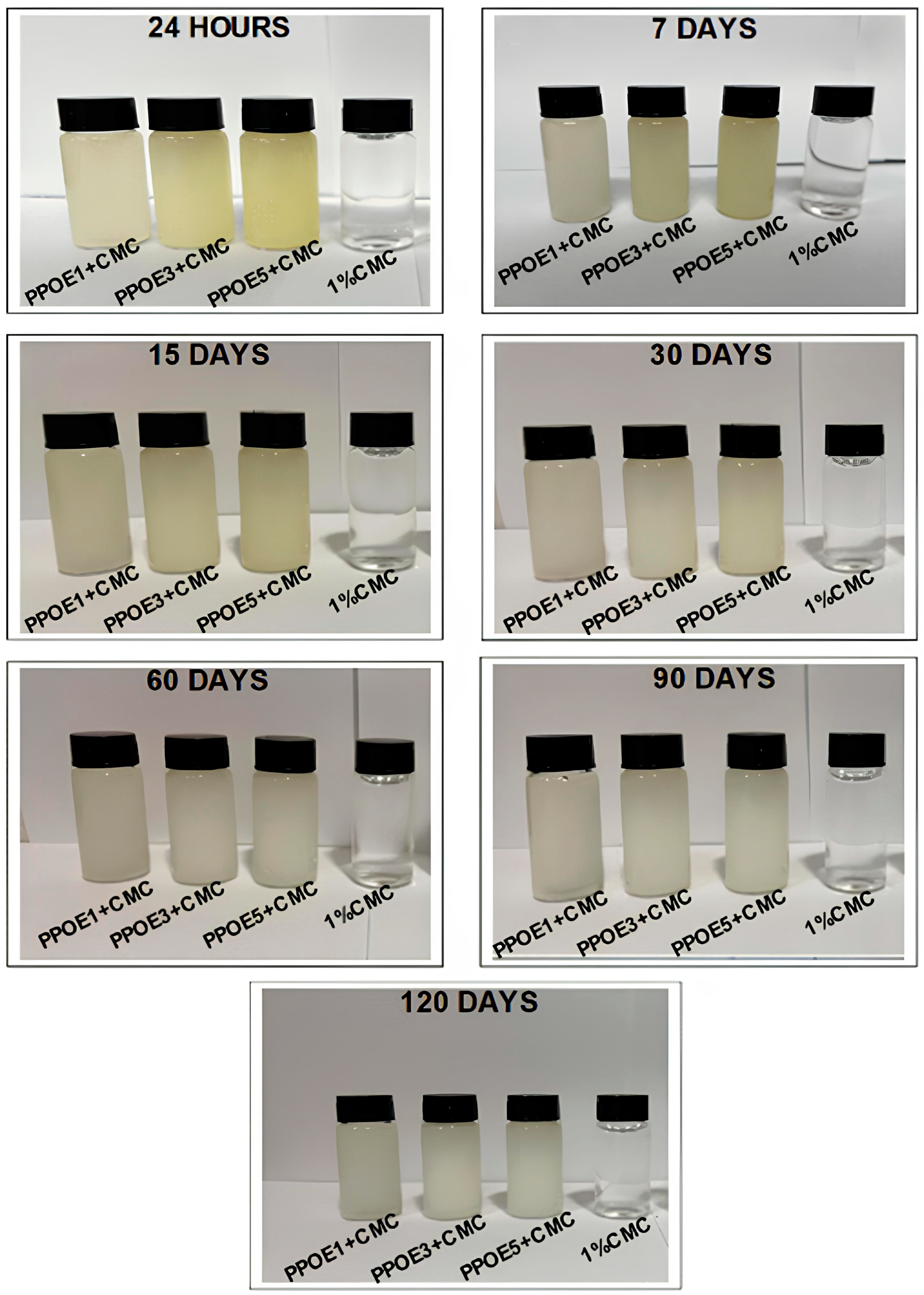 Polymers 17 00226 g003 Polymers 17 00226 g003