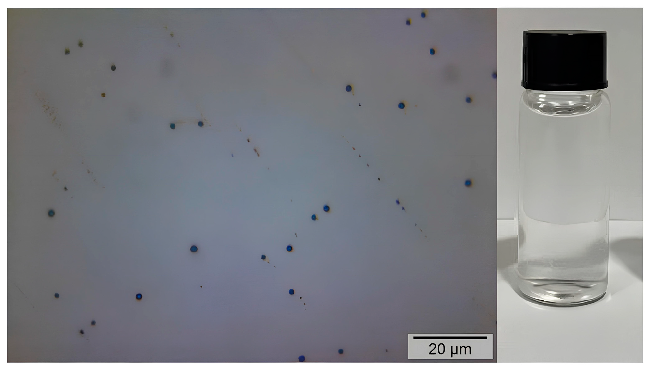 Polymers 17 00226 g006 Polymers 17 00226 g006