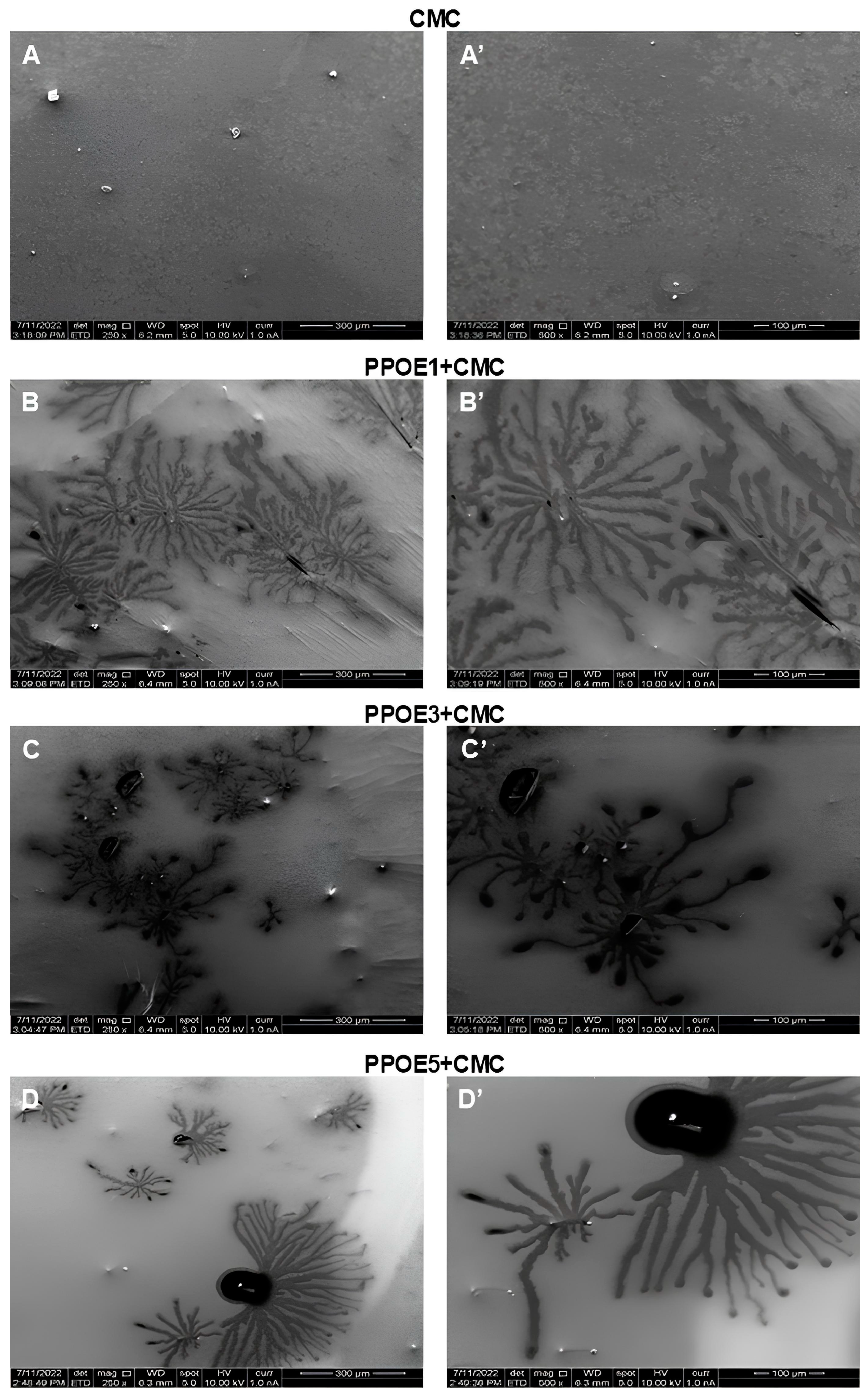 Polymers 17 00226 g010 Polymers 17 00226 g010
