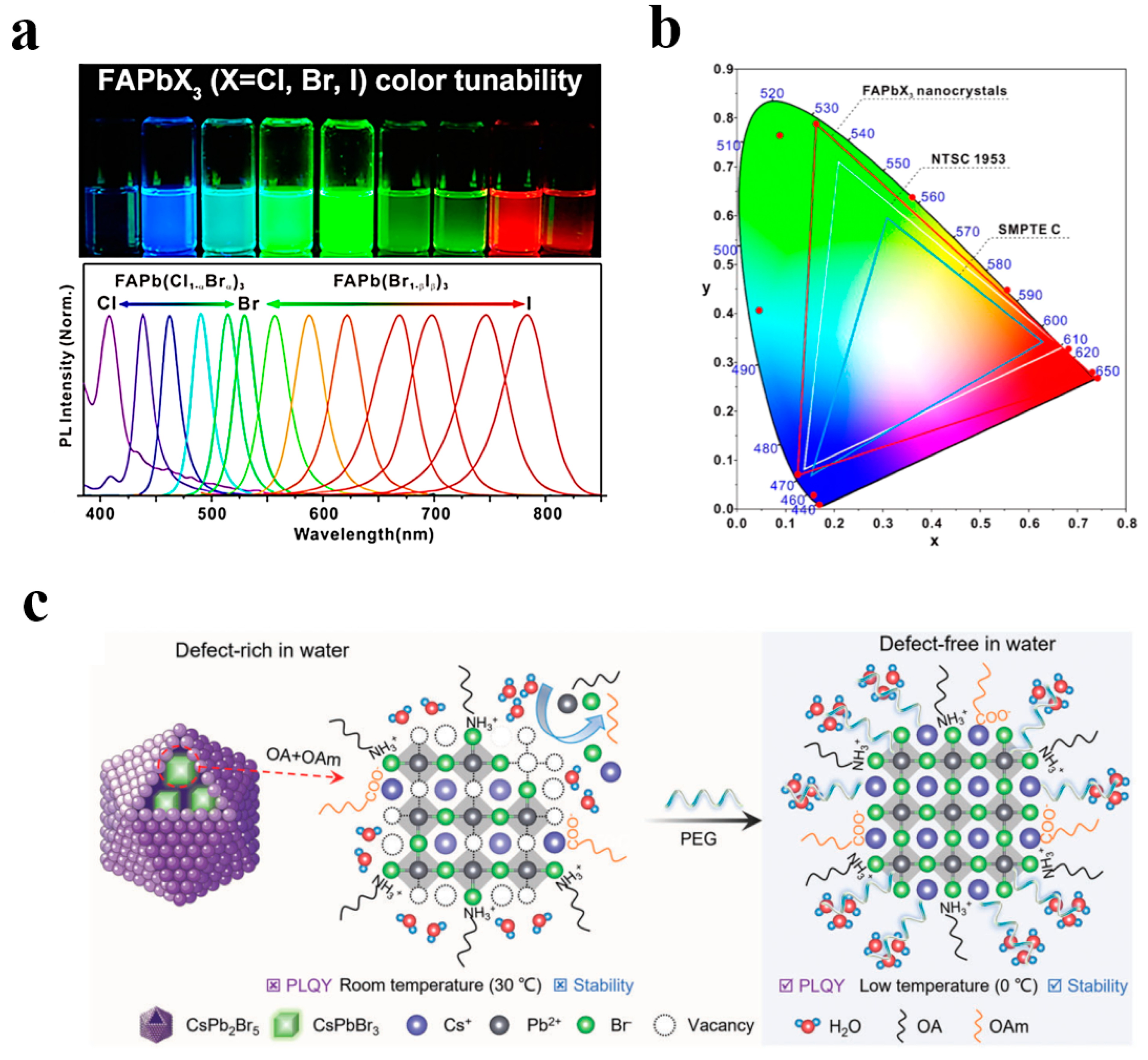 Polymers 17 00233 g004