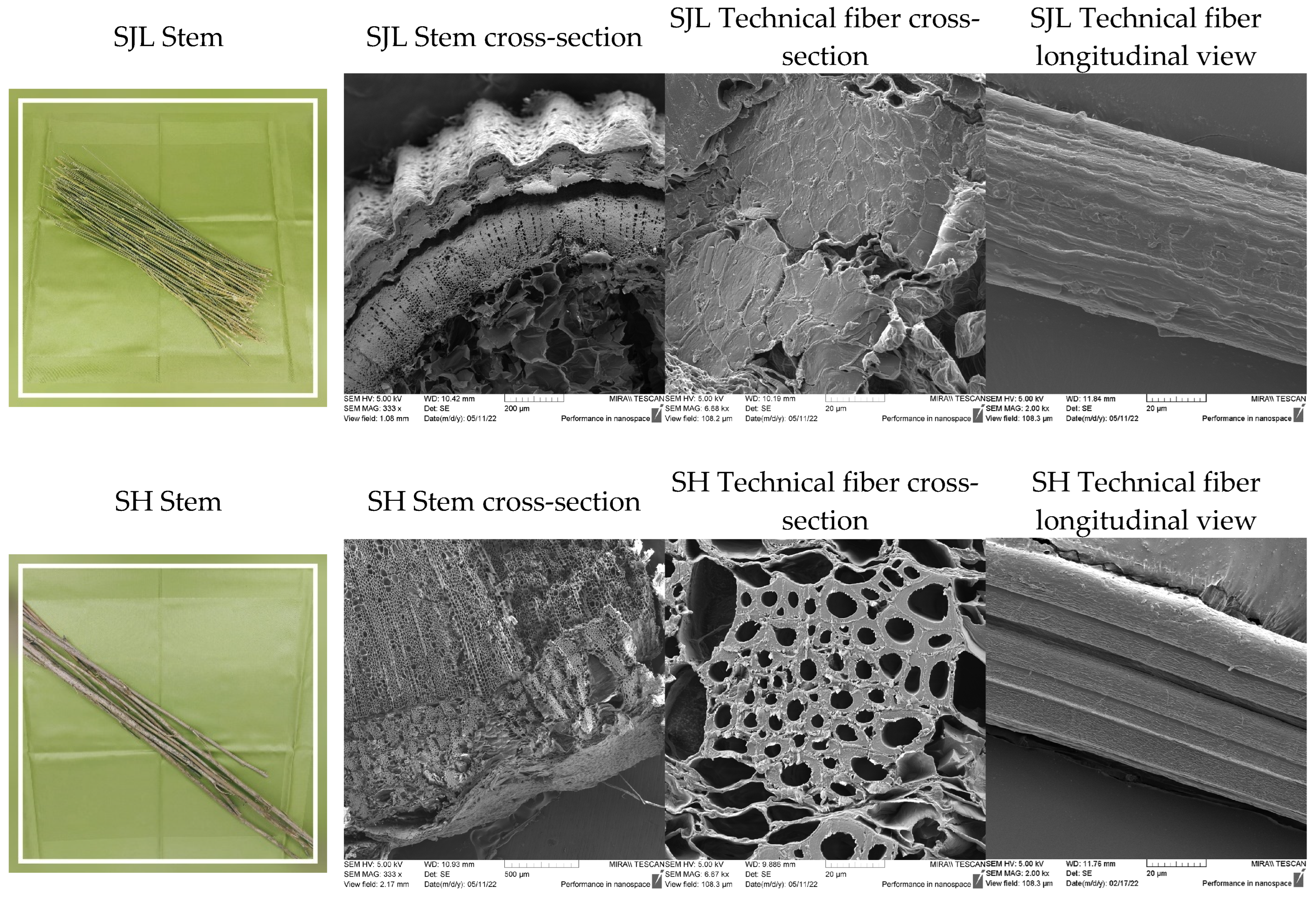 Polymers 17 00235 g004