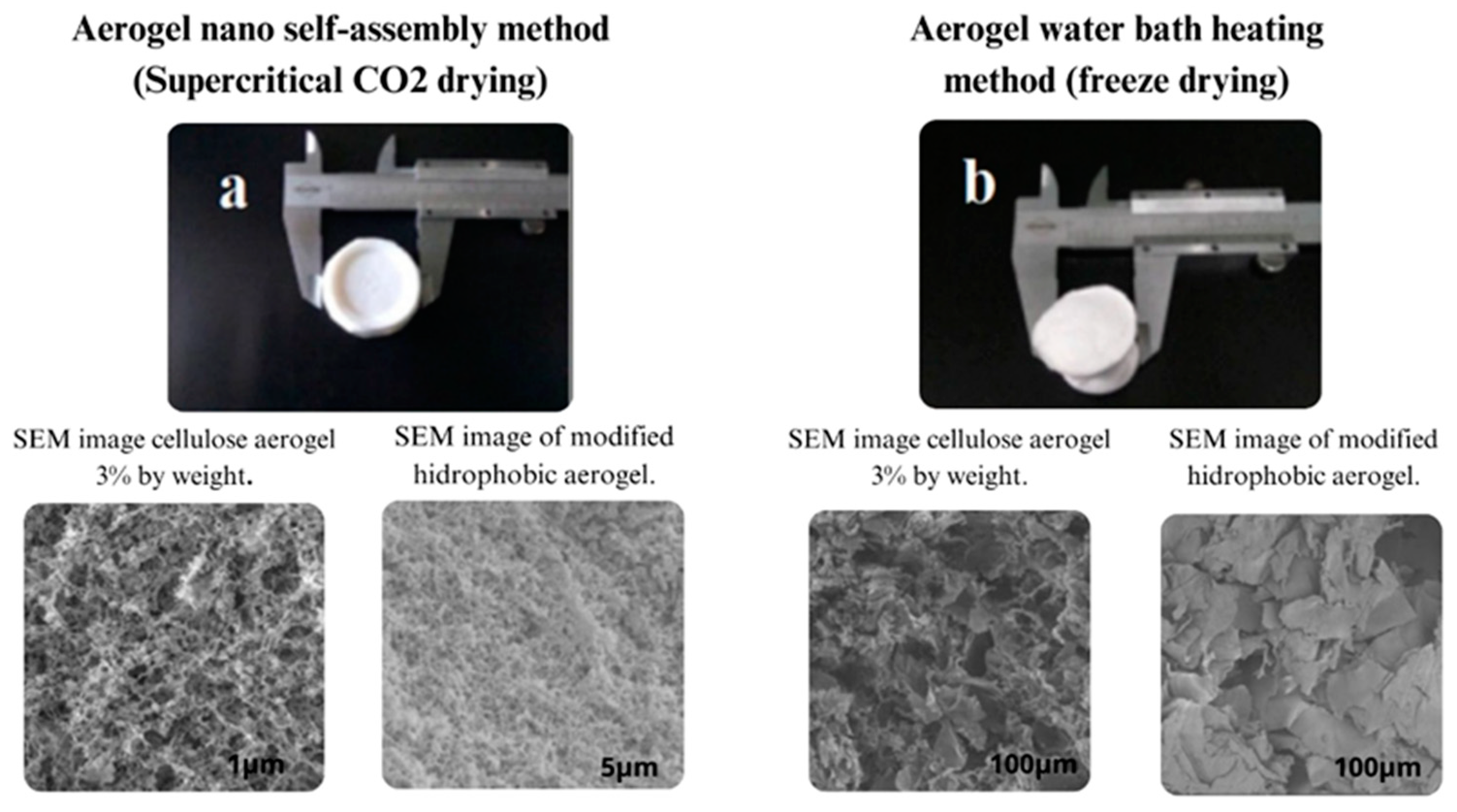 Polymers 17 00236 g005