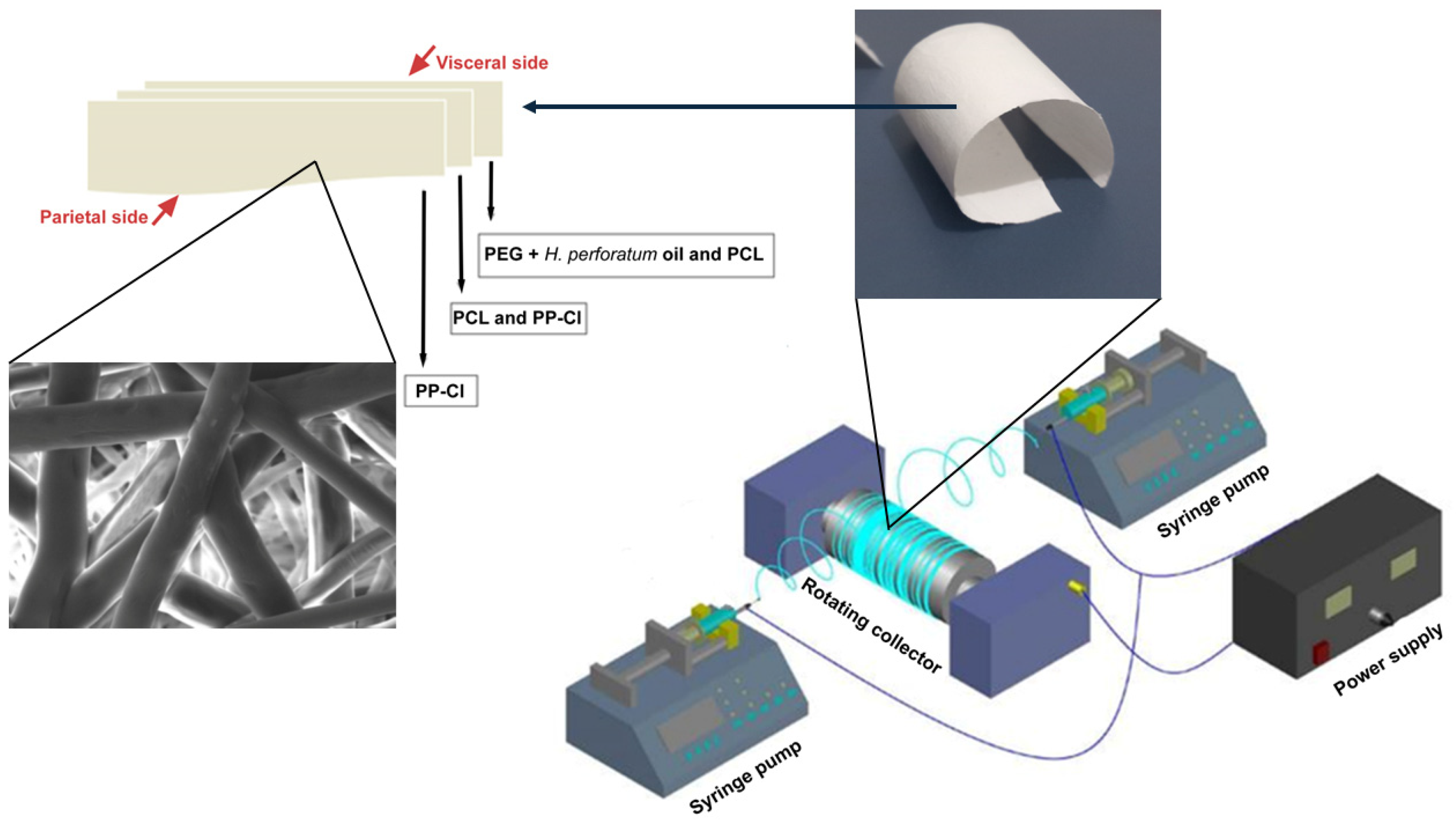 Polymers 17 00240 g001
