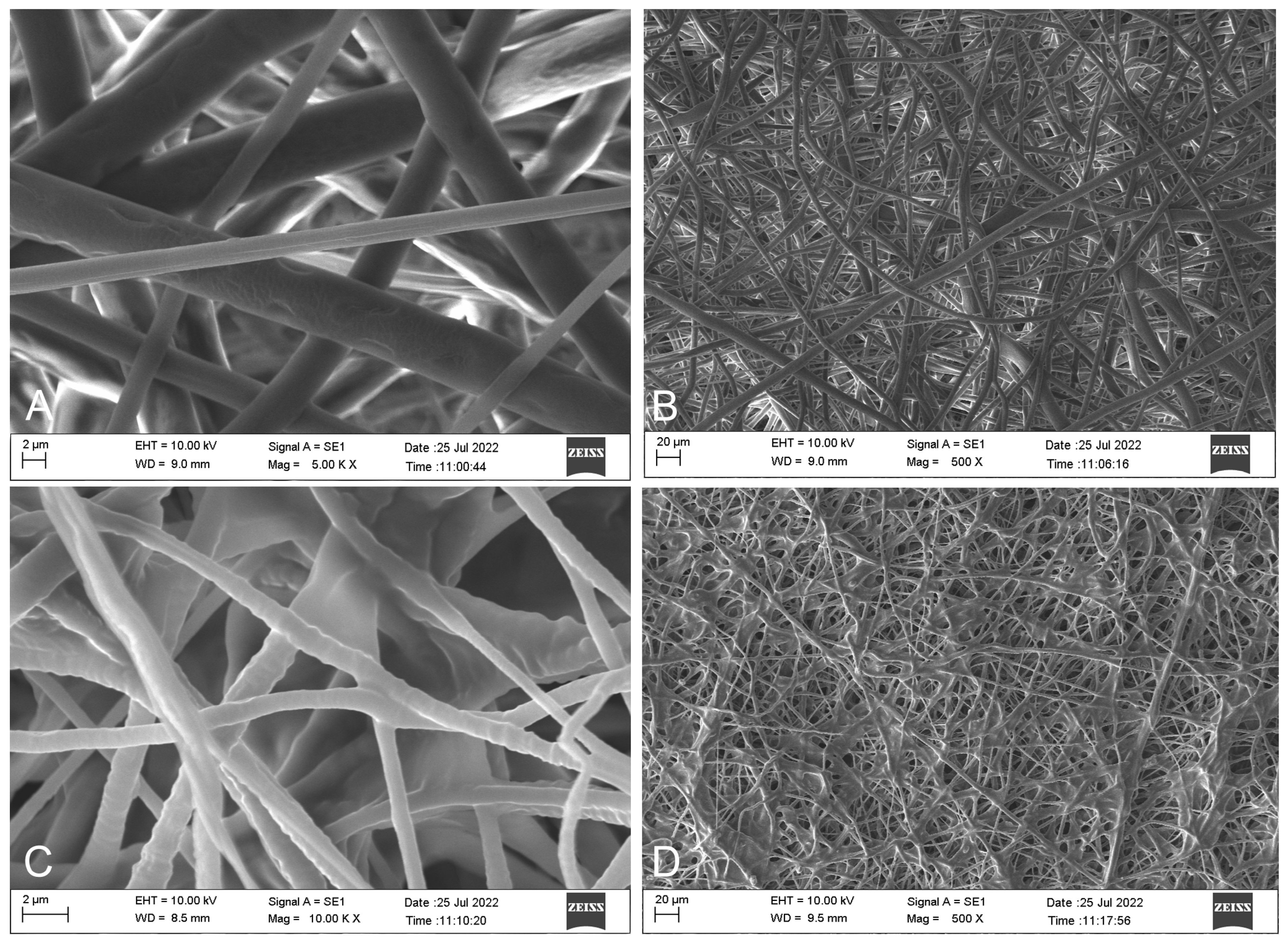 Polymers 17 00240 g004