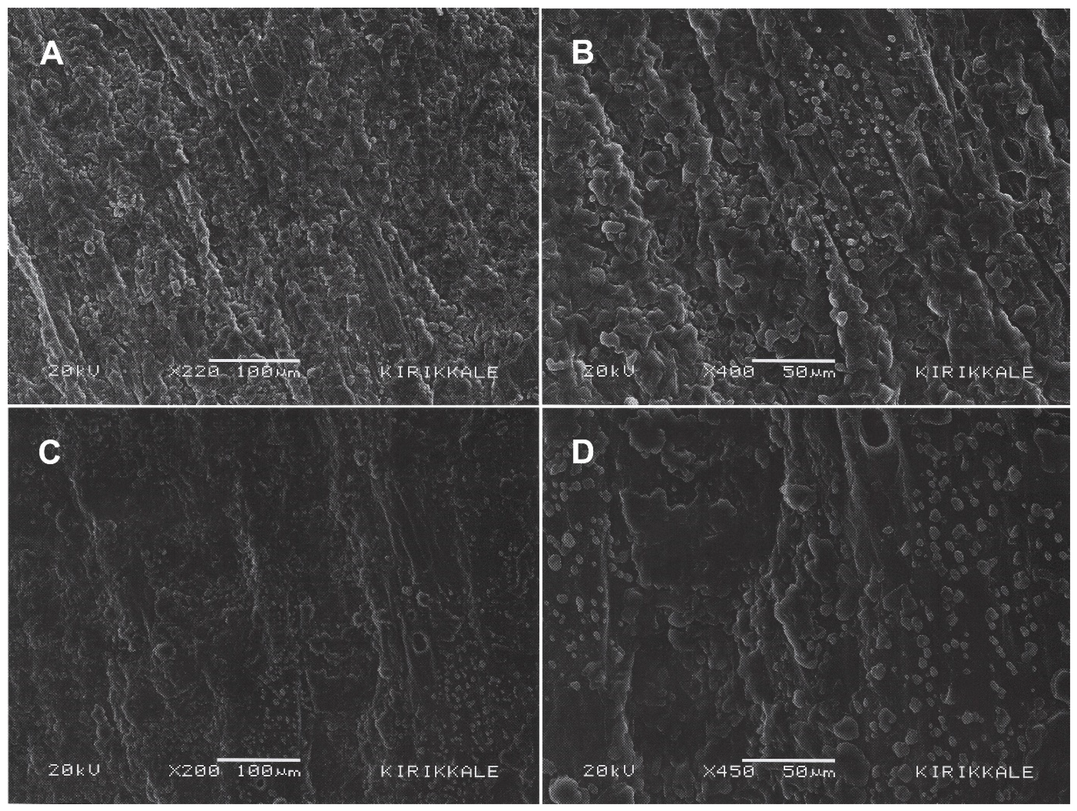 Polymers 17 00240 g009