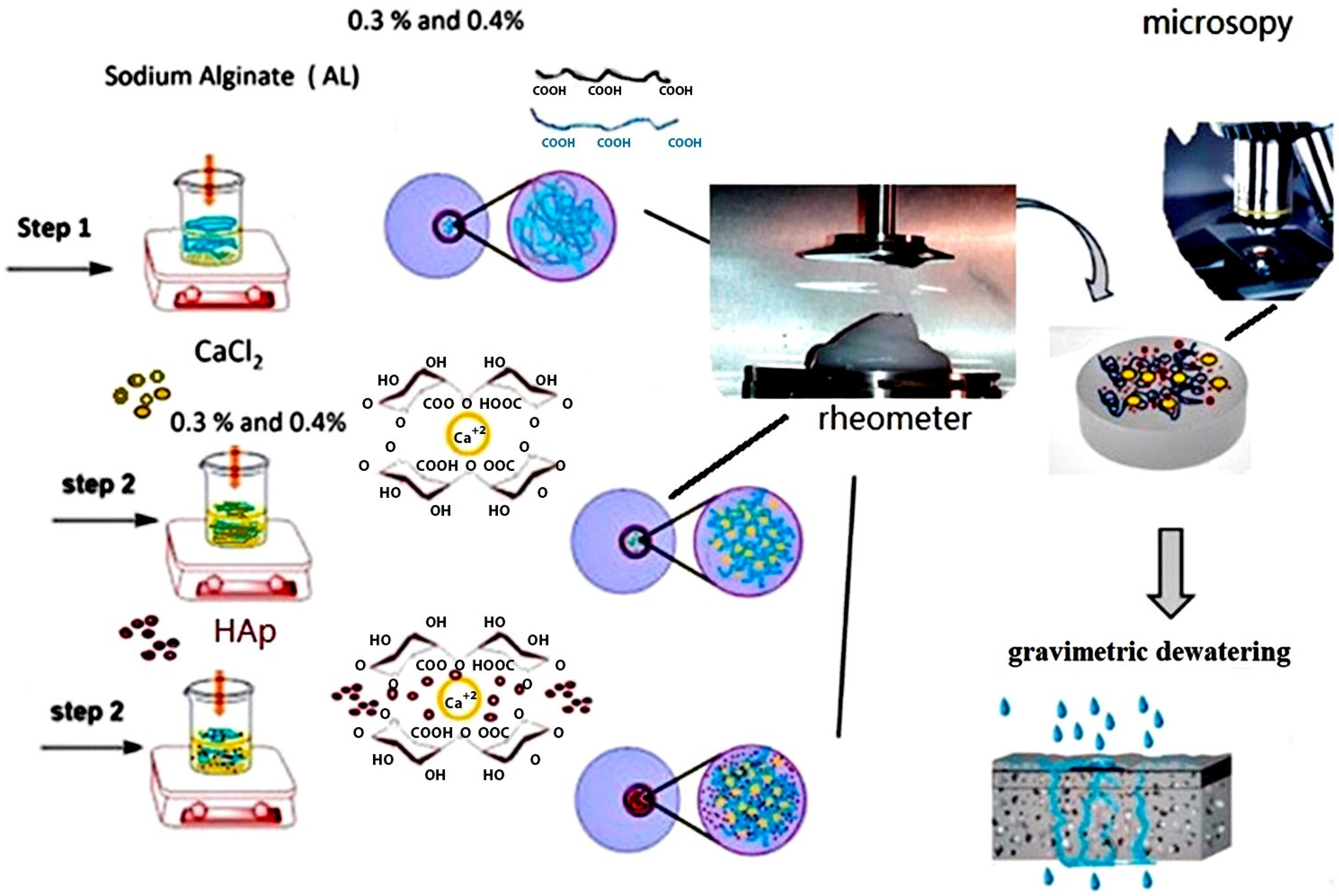 Polymers 17 00242 g003