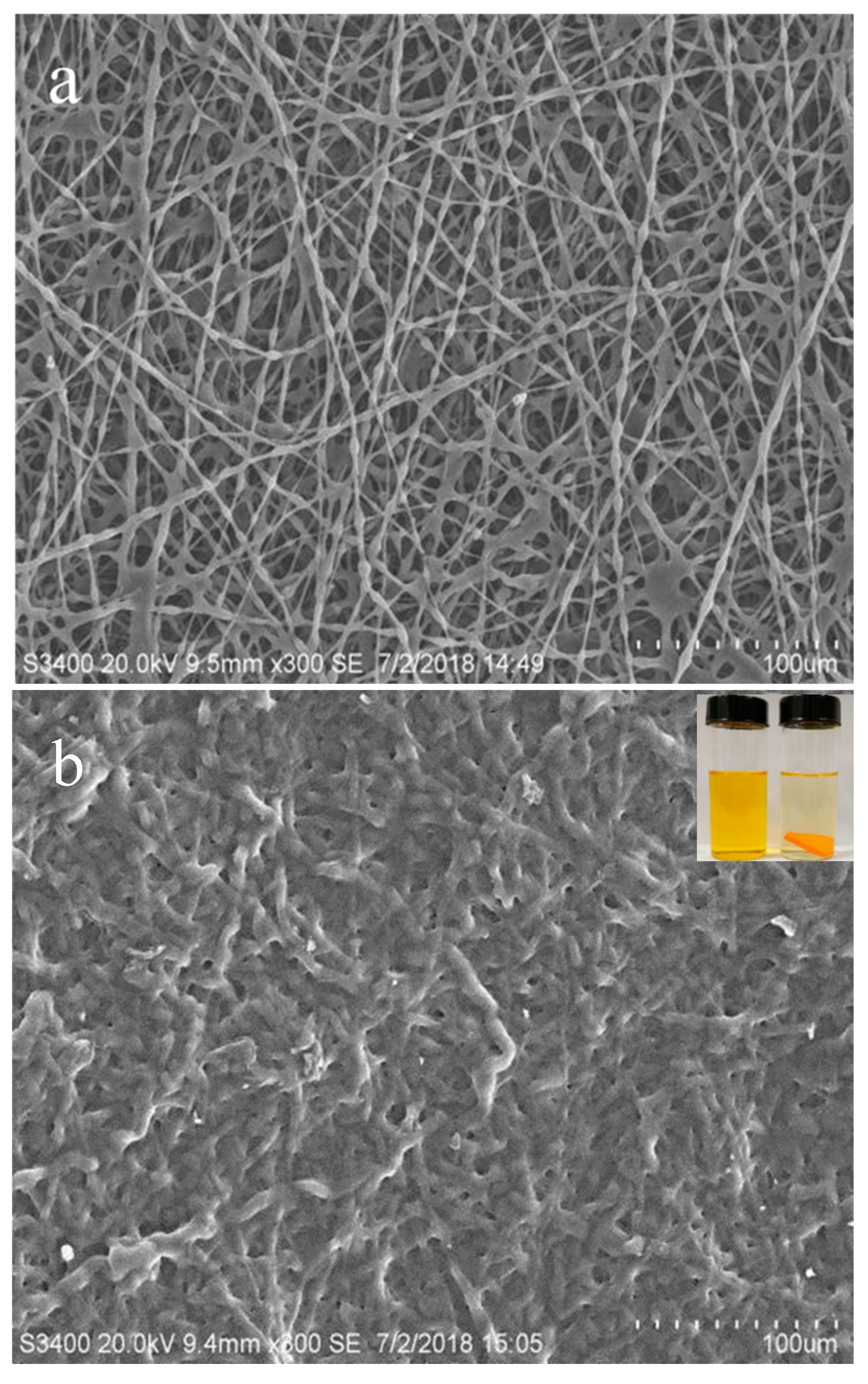 Polymers 17 00243 g004