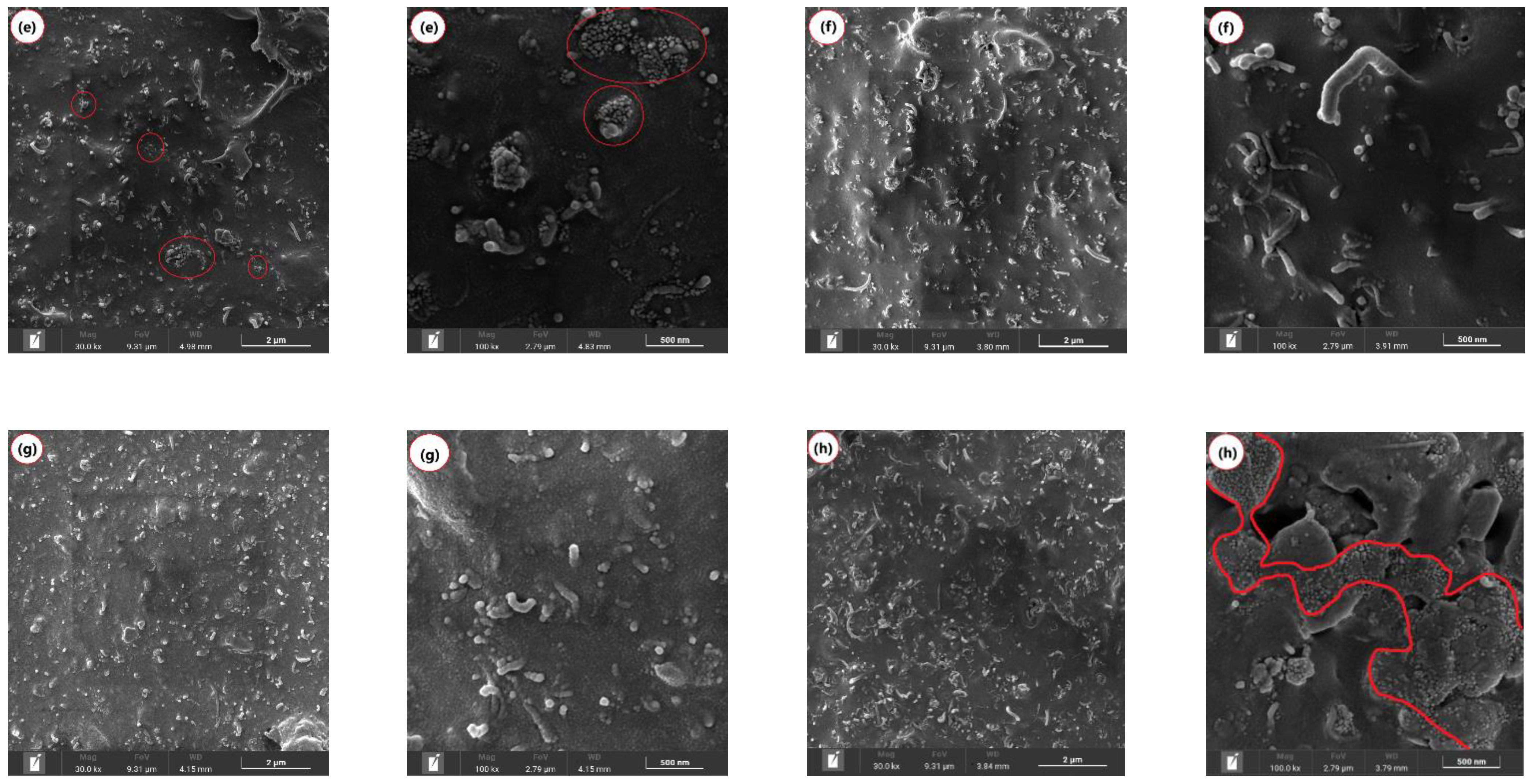 Polymers 17 00246 g006b