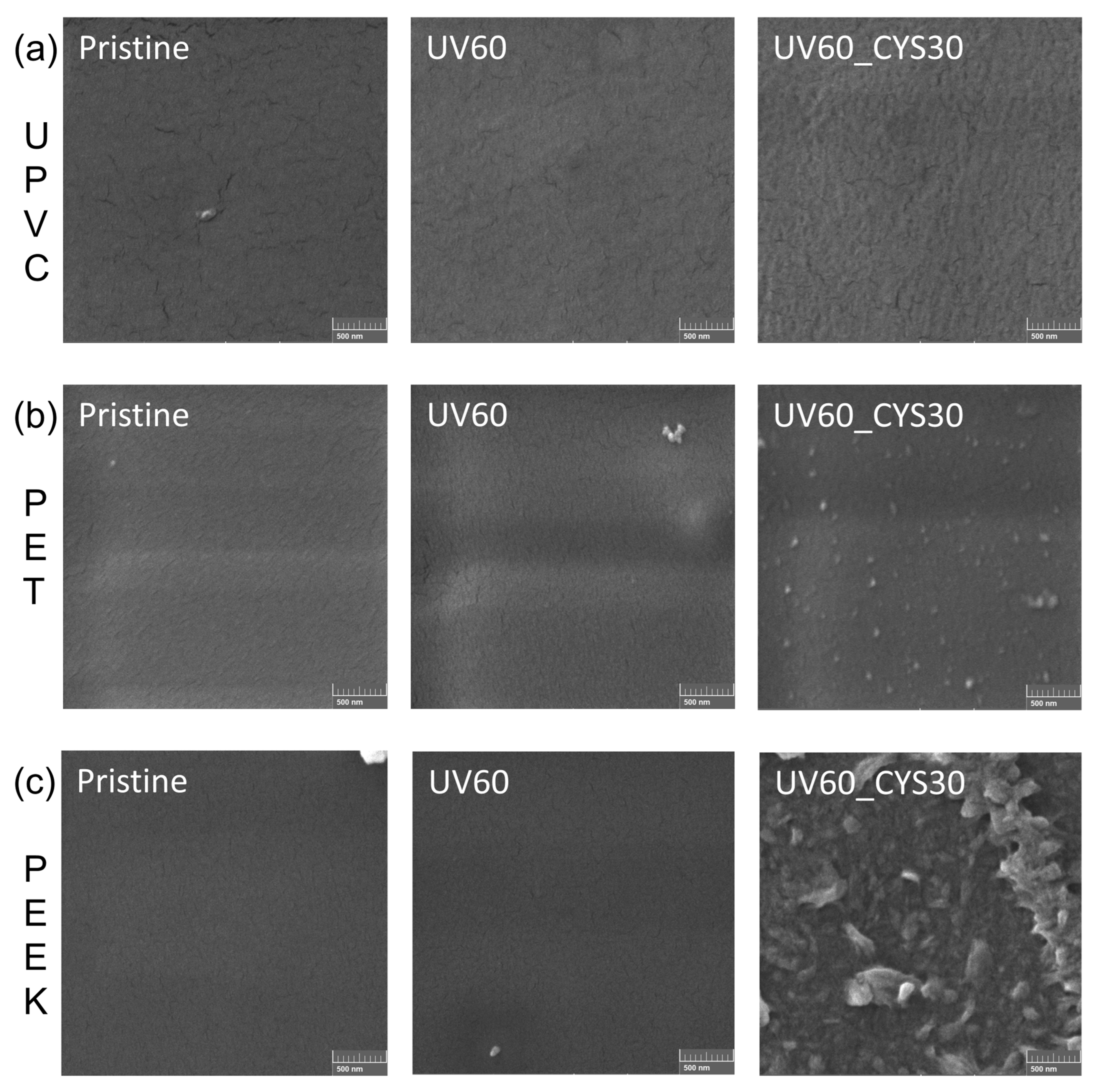Polymers 17 00251 g005