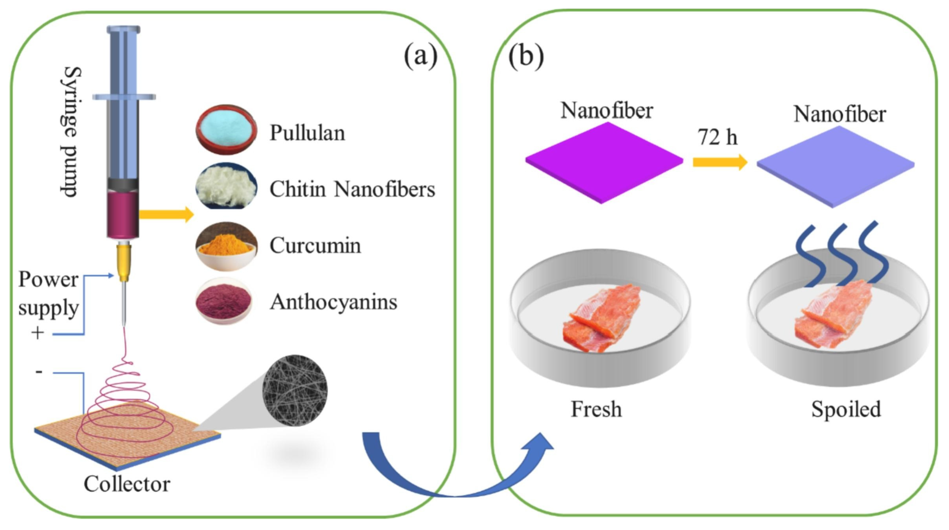 Polymers 17 00252 g005