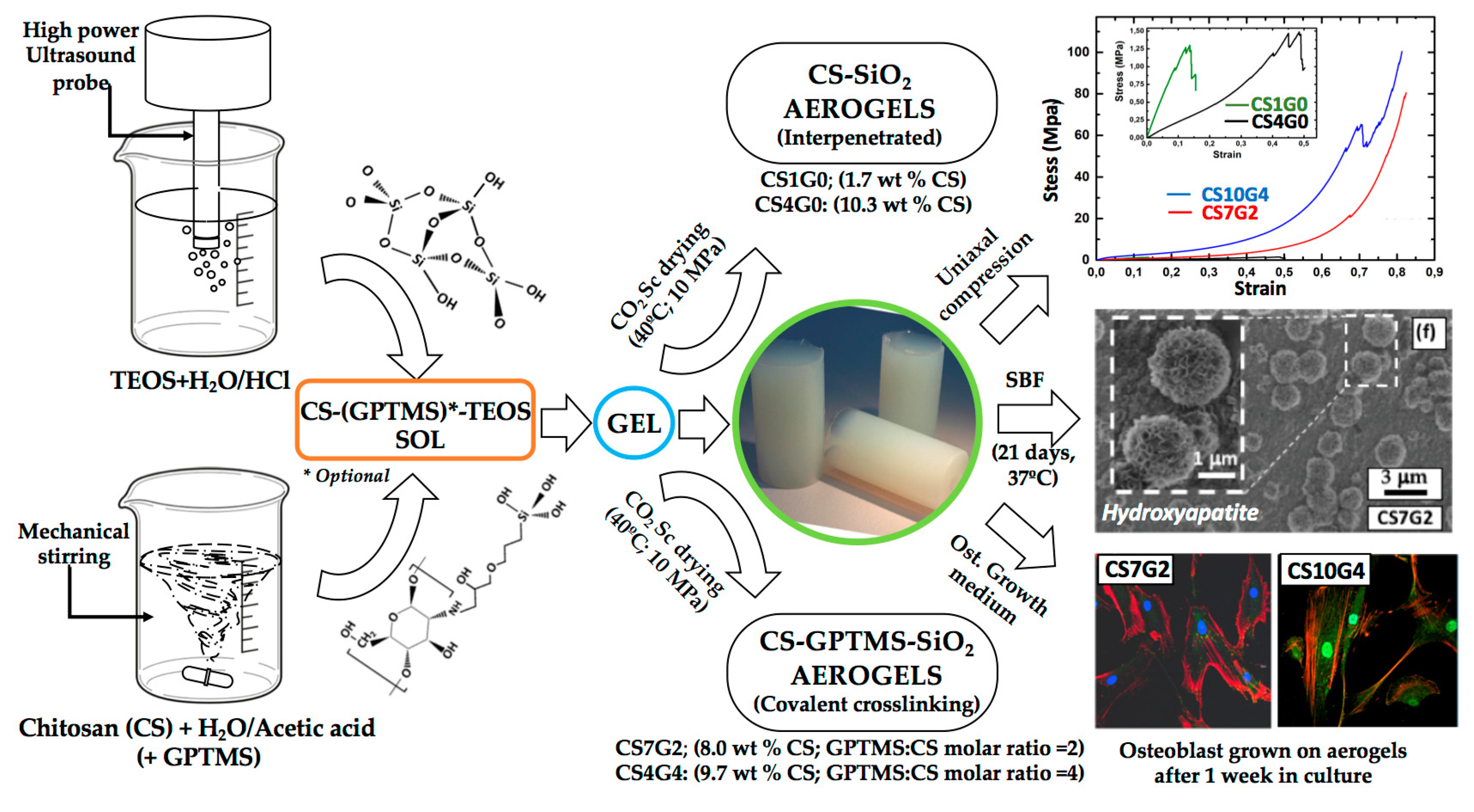 Polymers 17 00252 g009