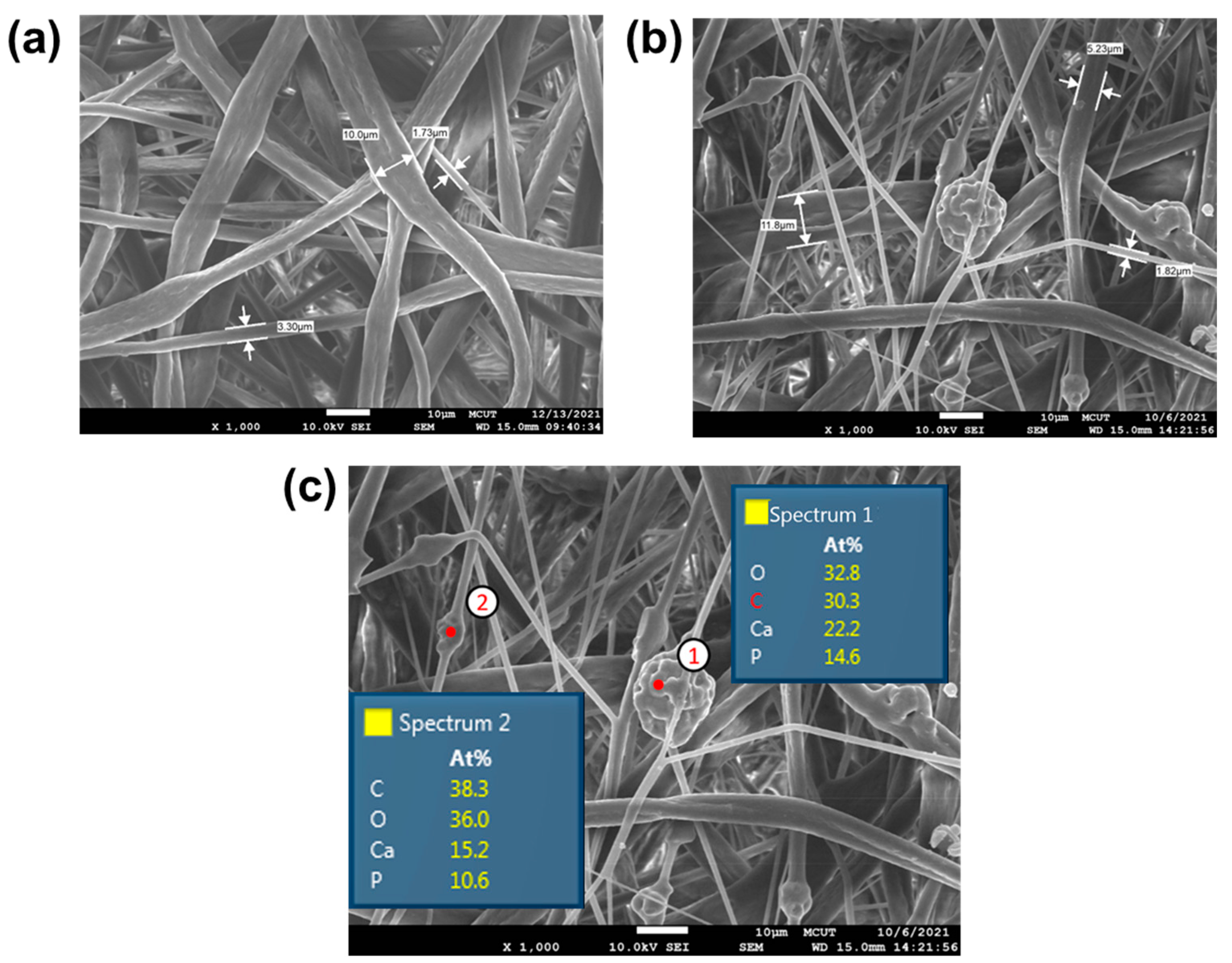 Polymers 17 00256 g002