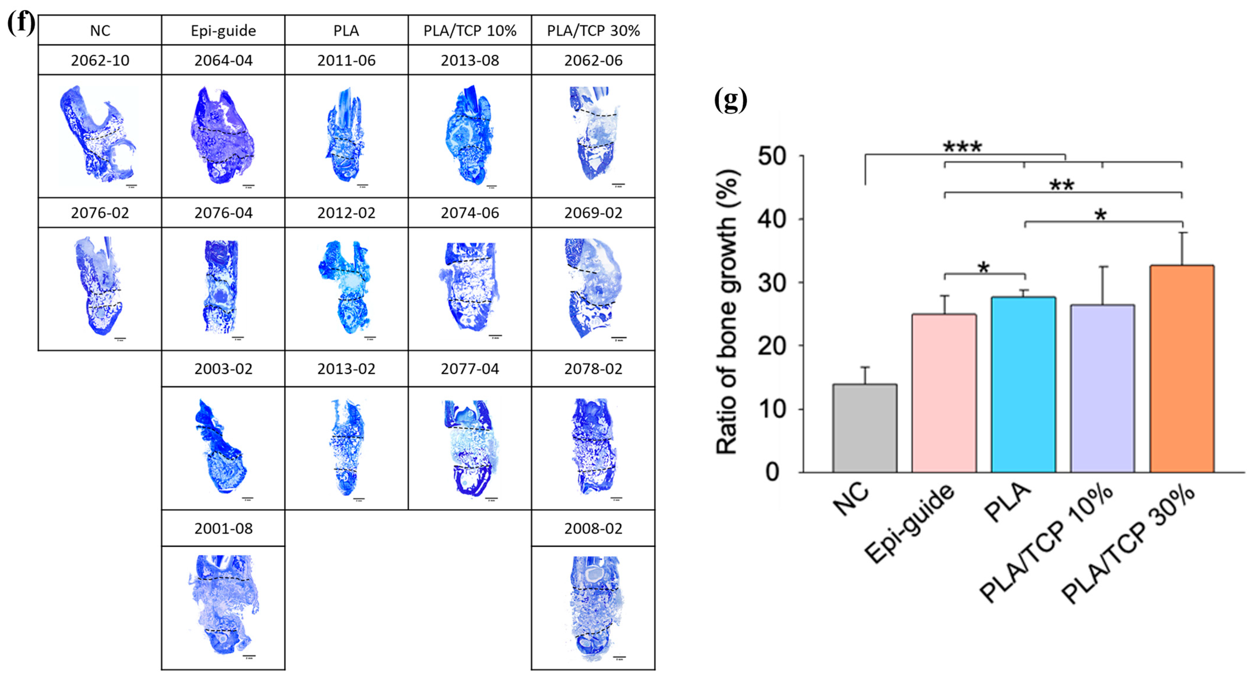 Polymers 17 00256 g007b