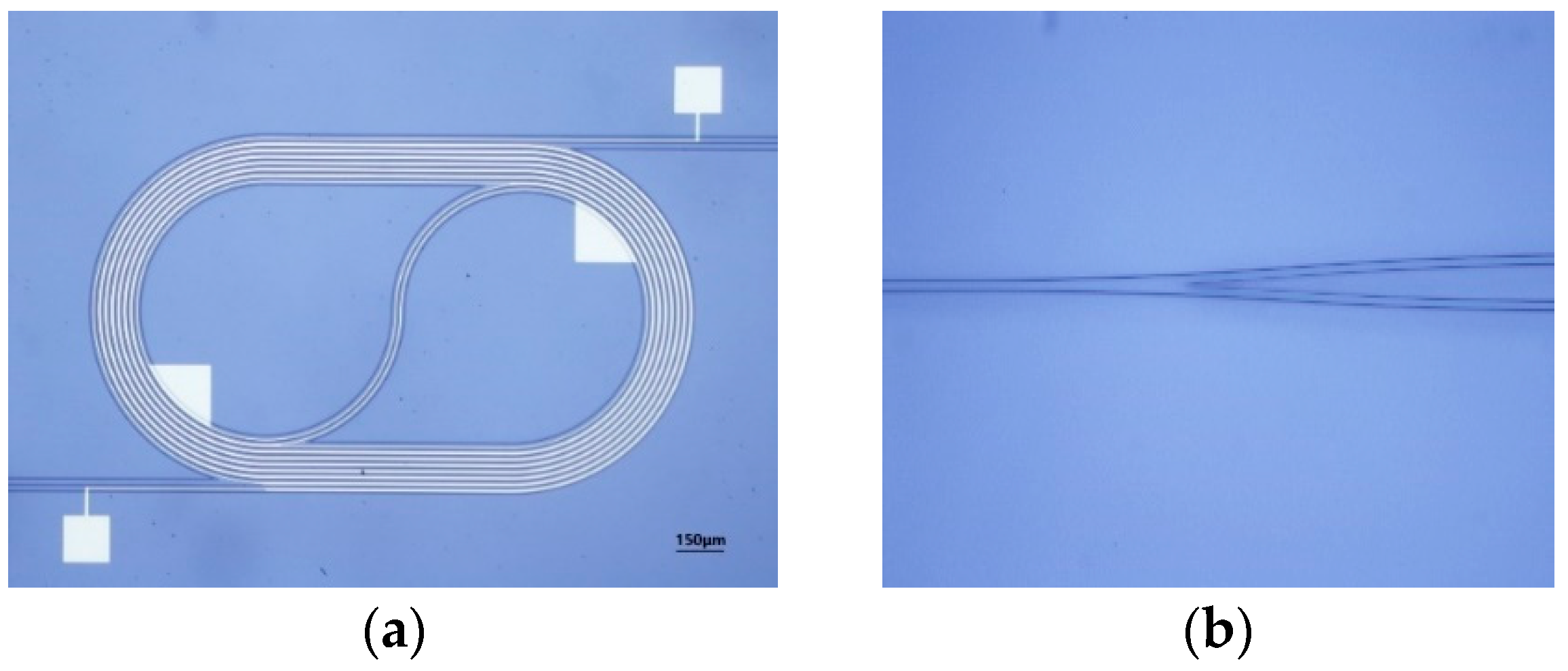 Polymers 17 00261 g004
