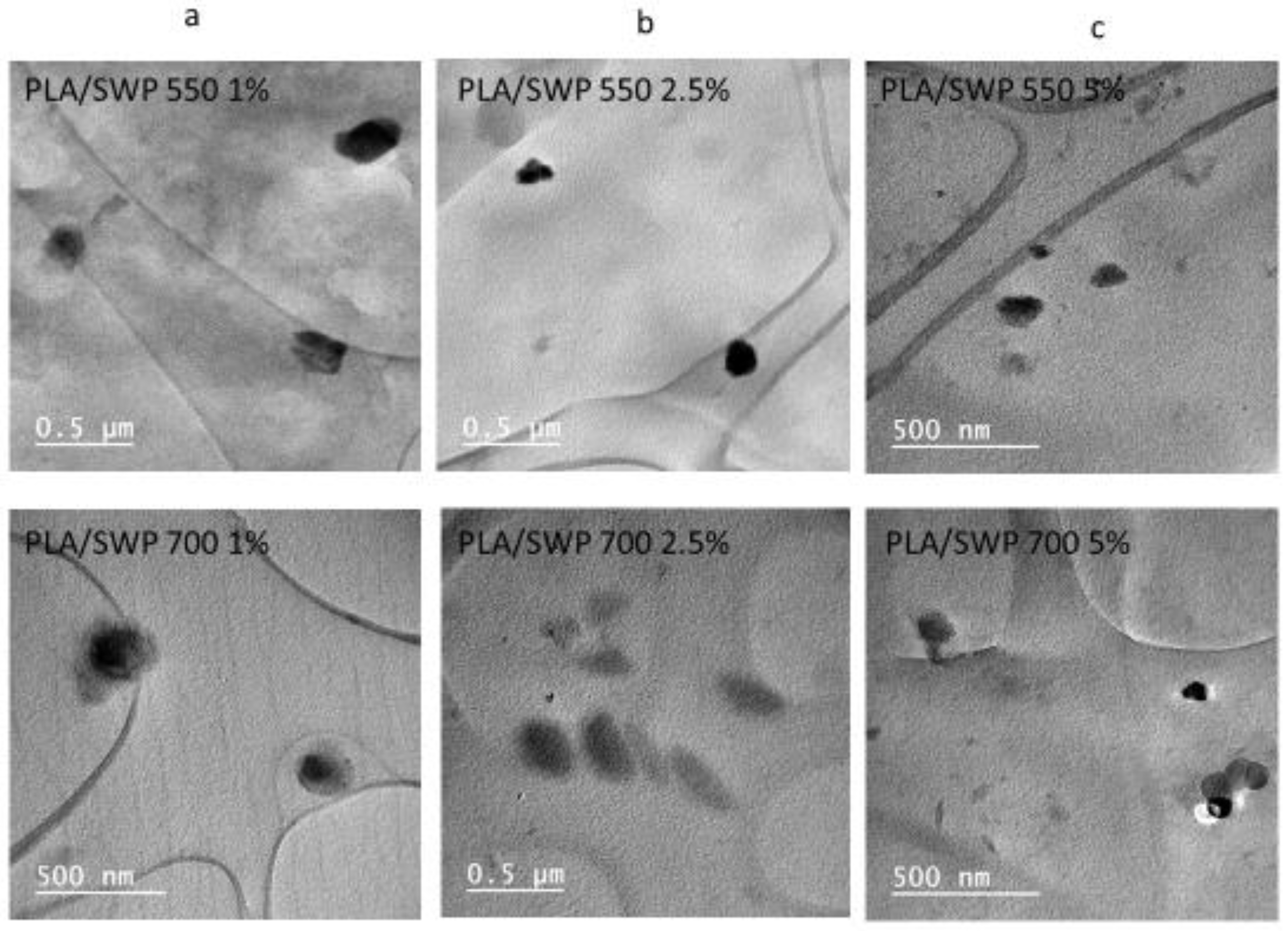 Polymers 17 00263 g005
