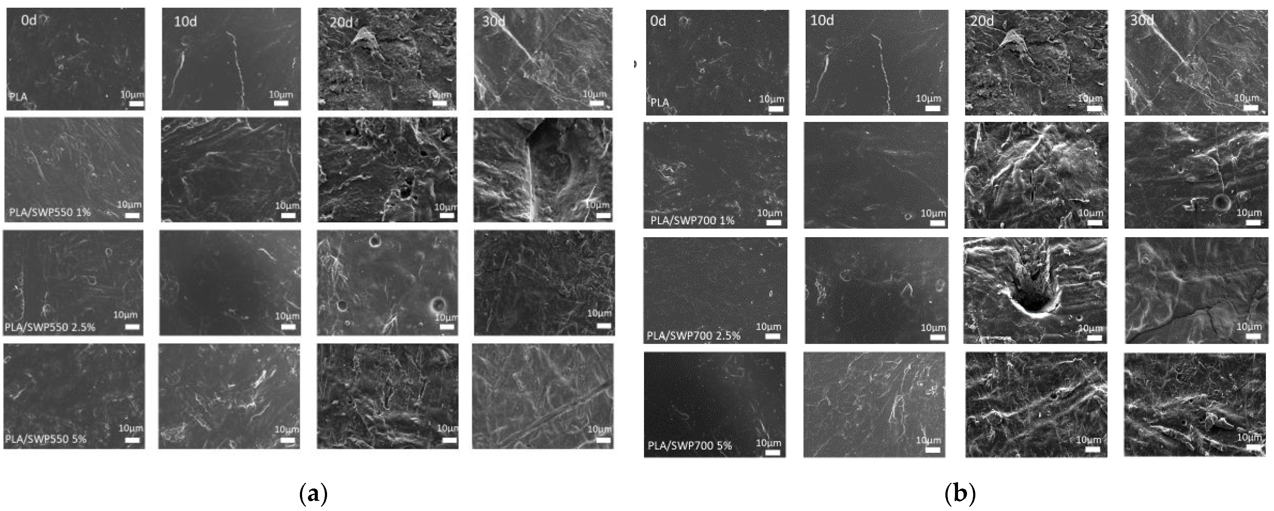 Polymers 17 00263 g012