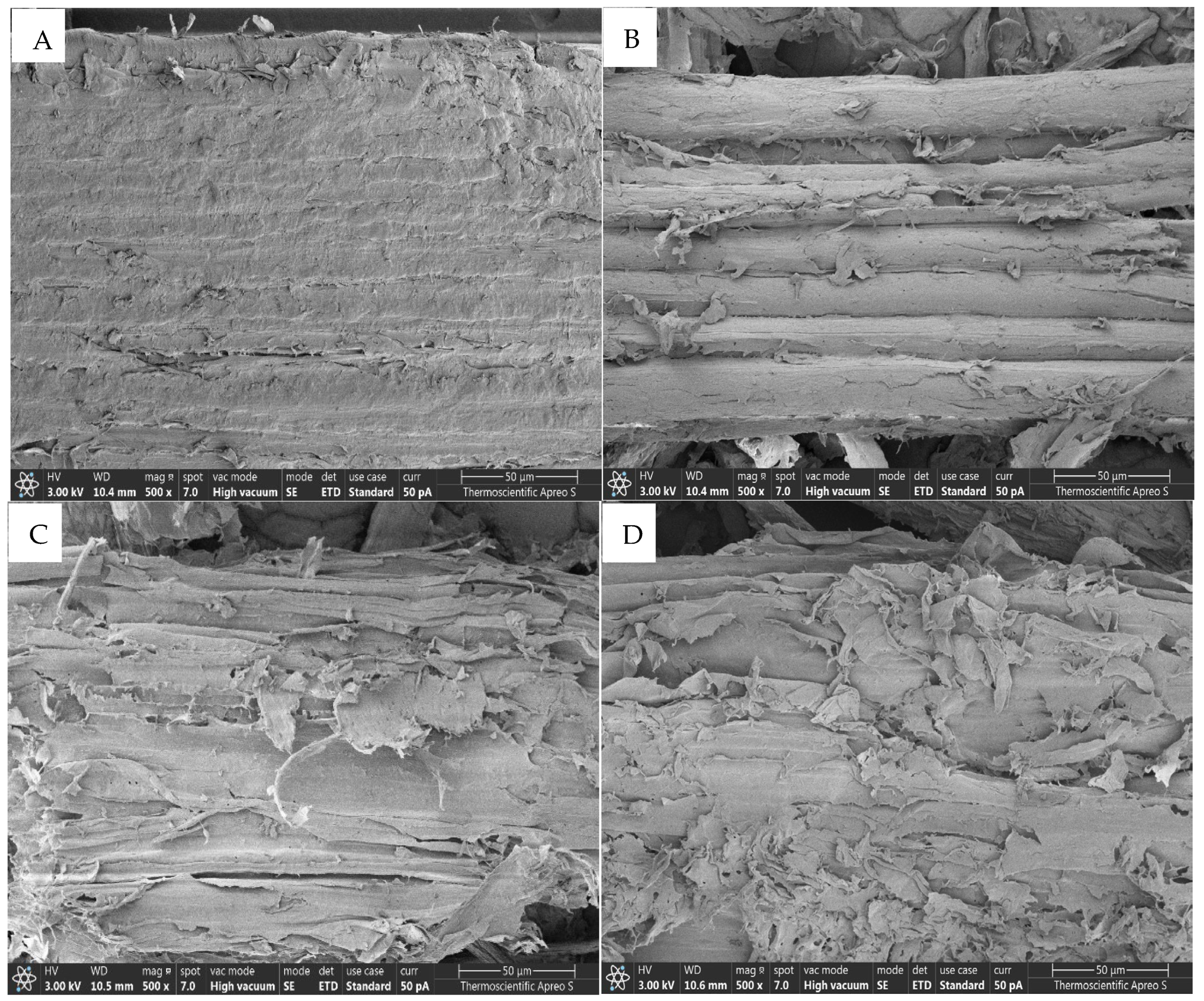 Polymers 17 00266 g005